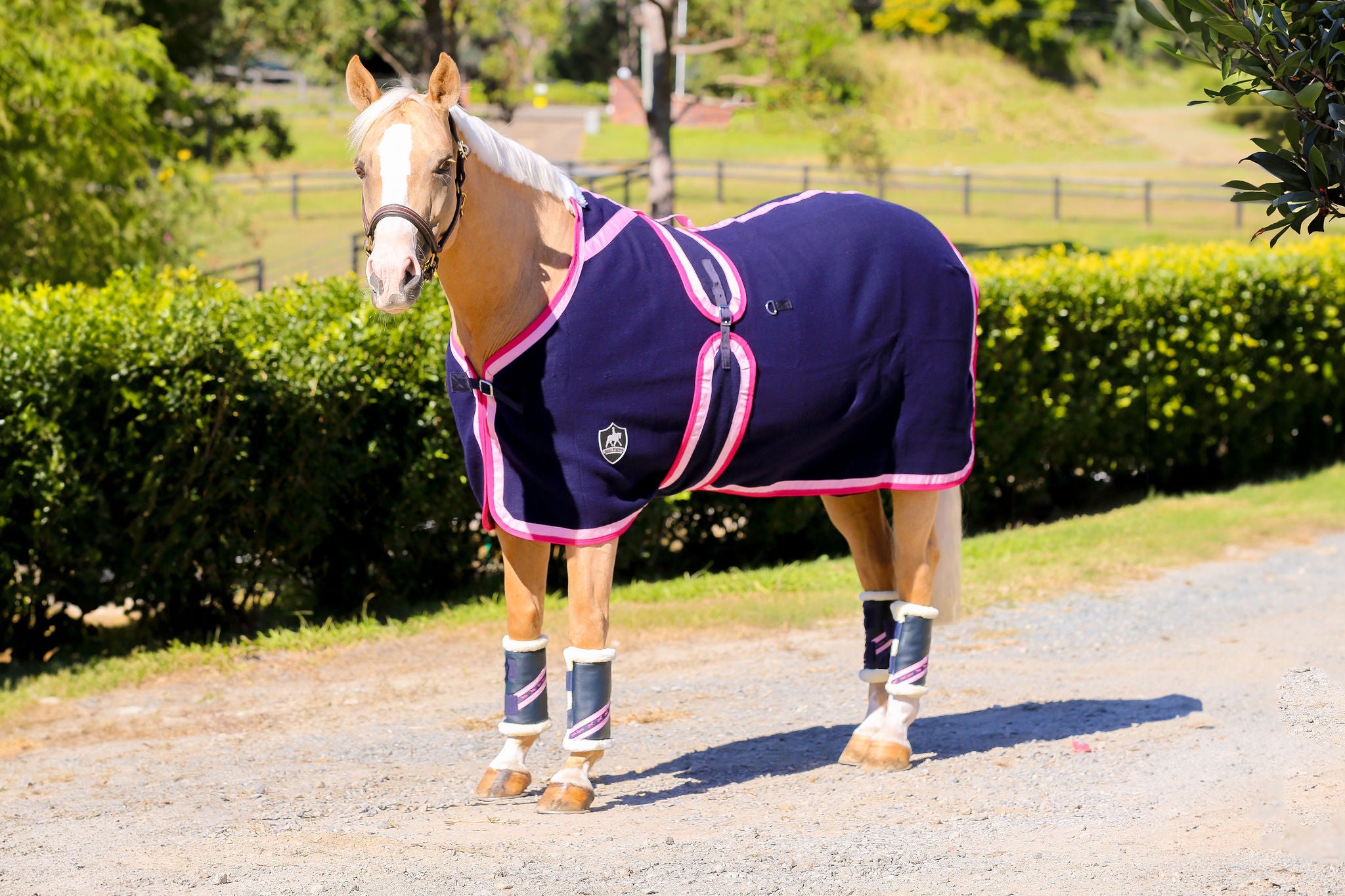 Navy Kersey Wool Rug with Light & Hot Pink Trims