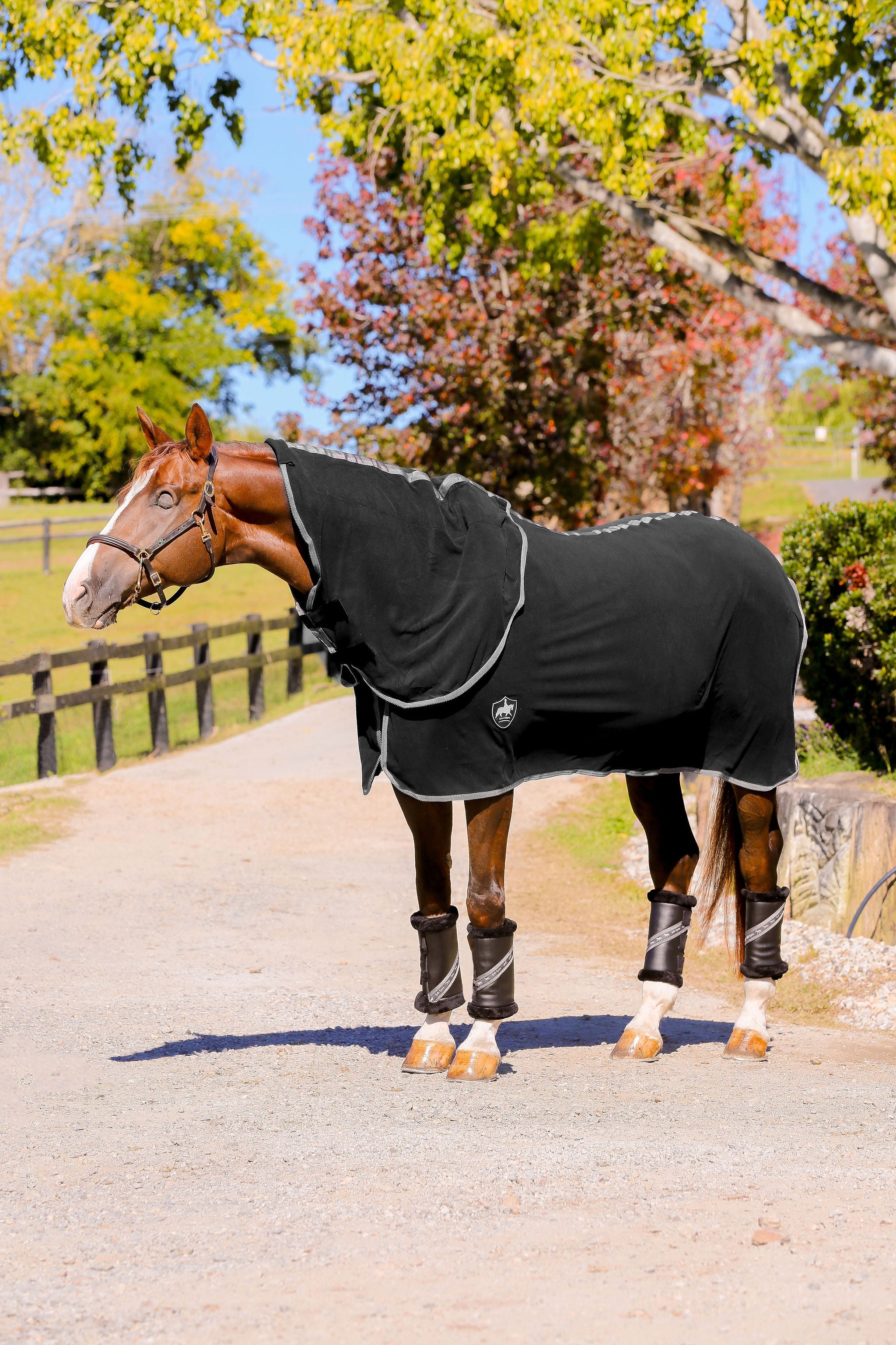 FLEECE NECK Combo with Mink Collar and White, Denim Trim - Black