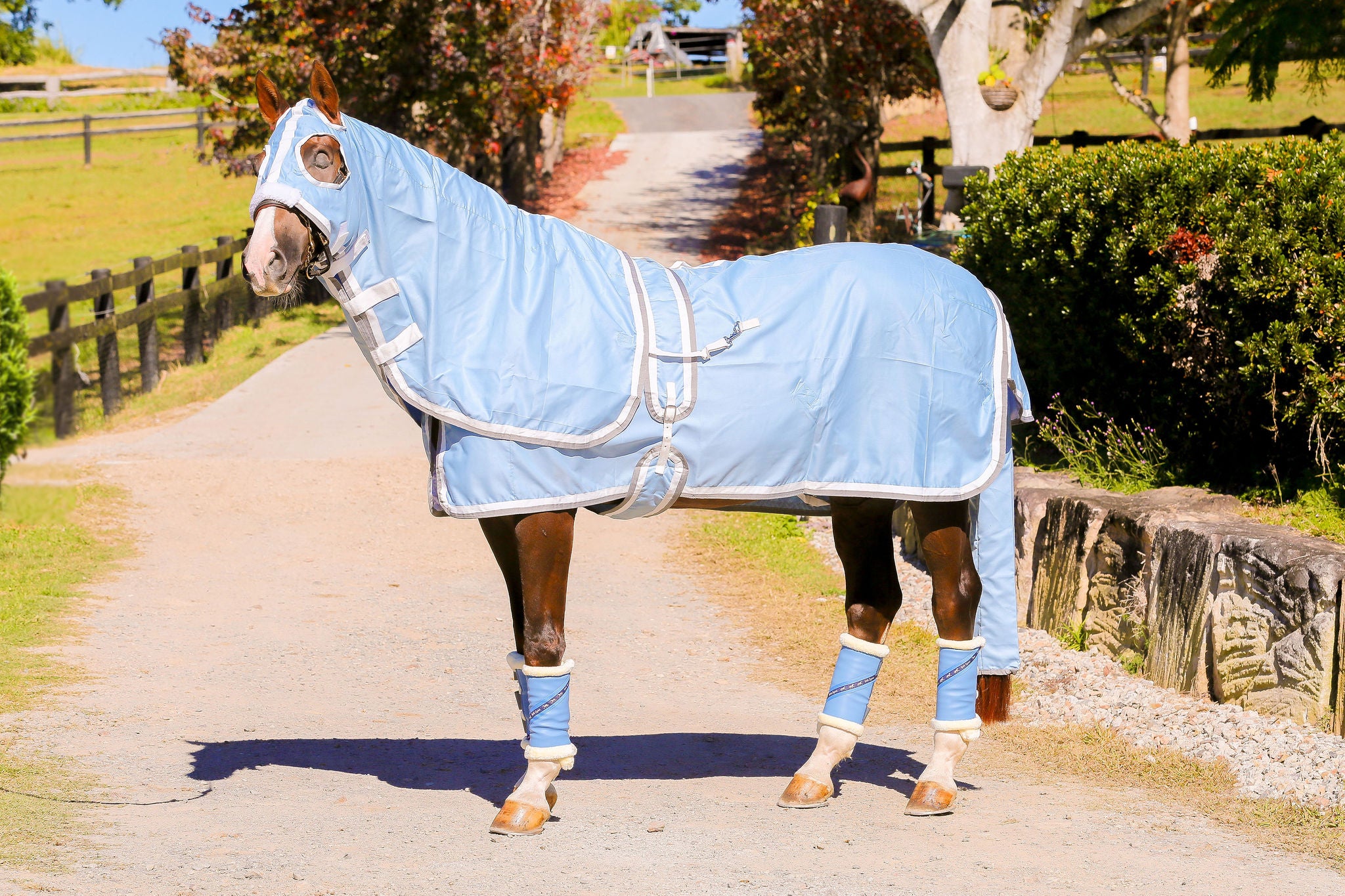 Baby Blue Show Set with White and Grey trims