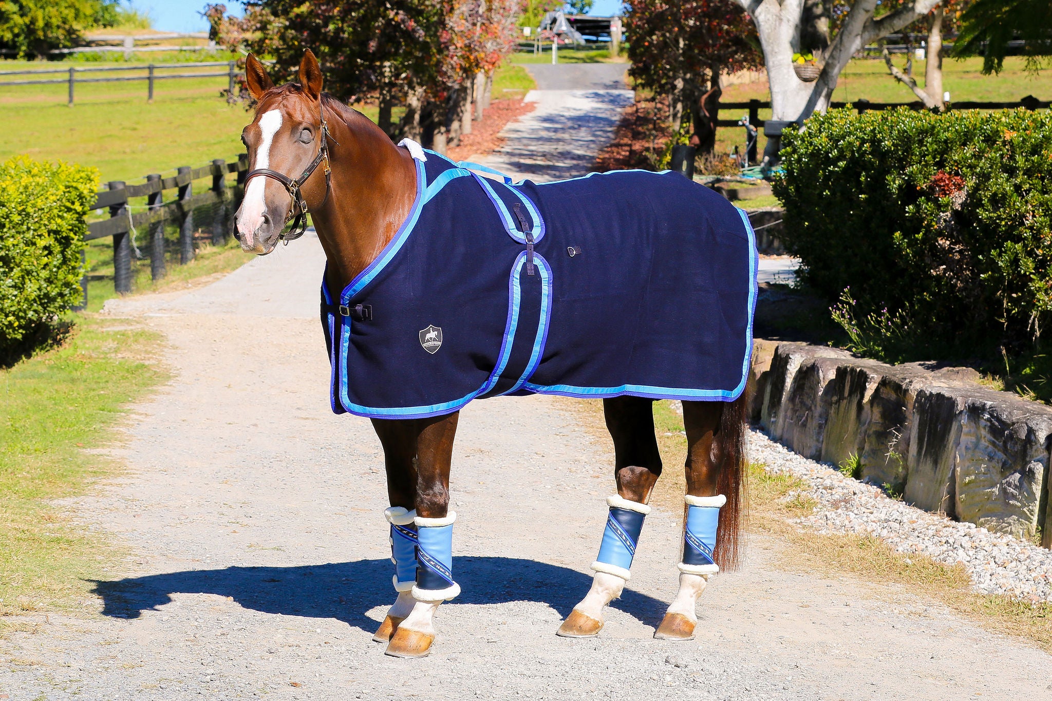 Navy Kersey Wool Rug with Royal Blue and Sky Blue Trims