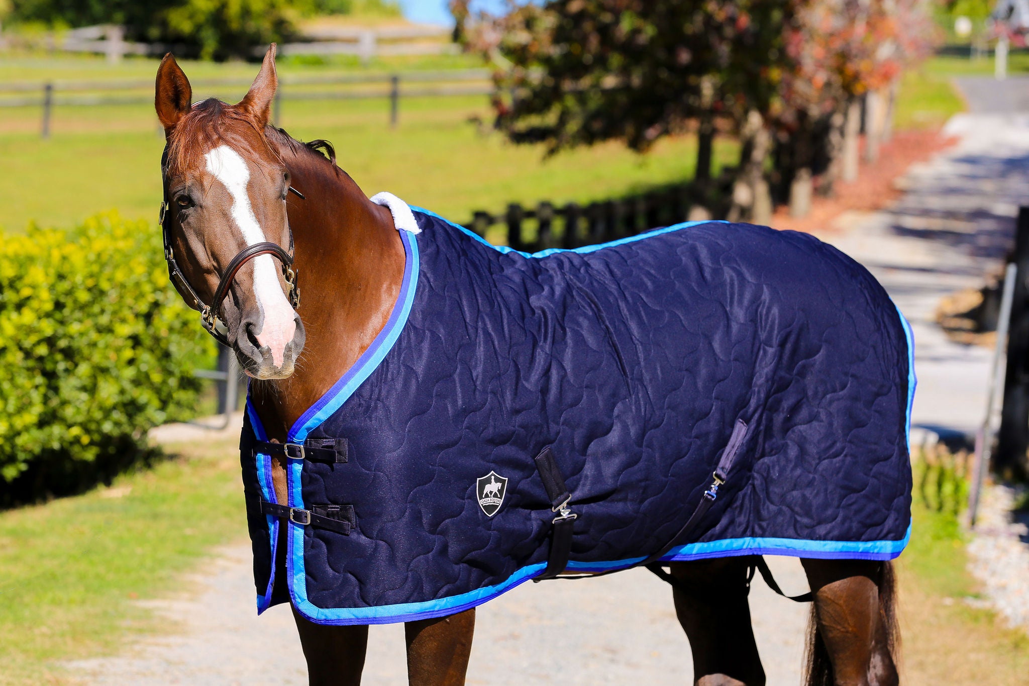 Luxury Stable Doona - Navy with Royal and Sky Blue Trims