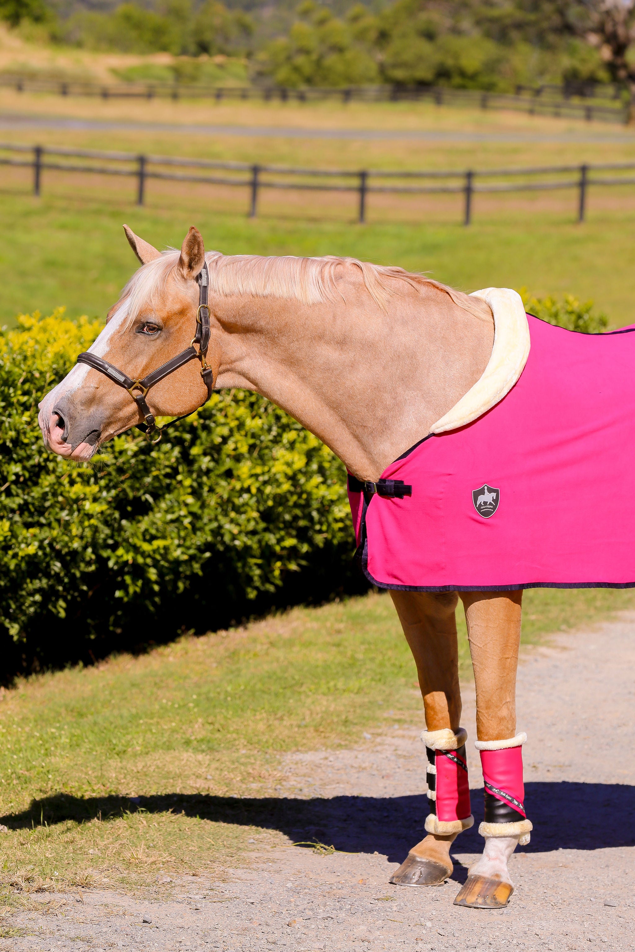 FLEECE HOOD set with Mink Collar and Dark Navy Trim - Hot Pink