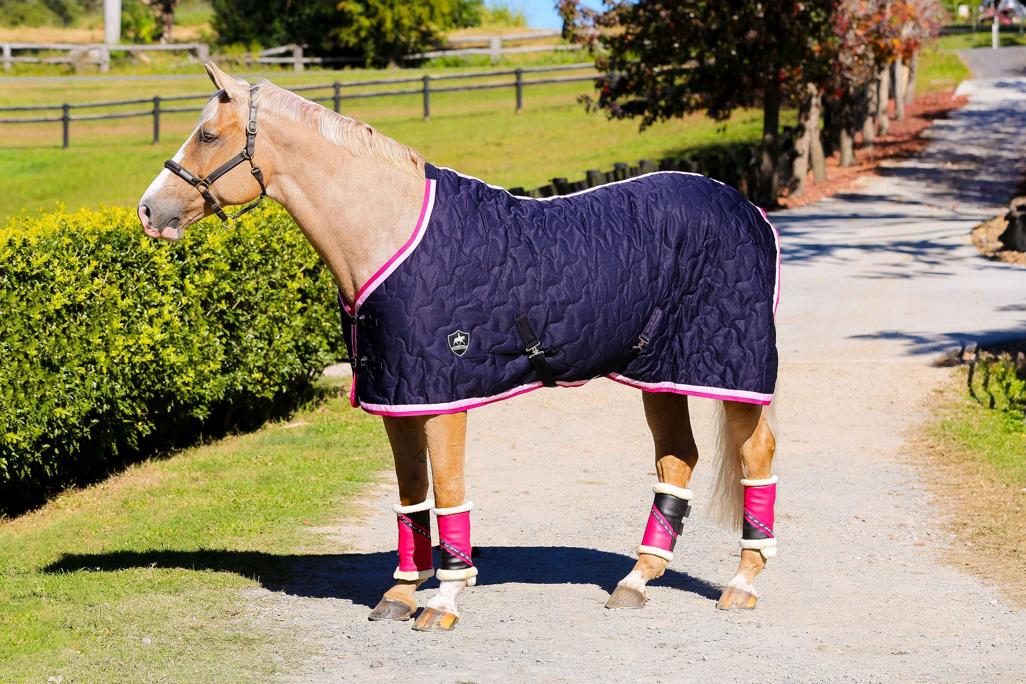 Luxury Stable Doona - Navy with Light Pink & Hot Pink Trims