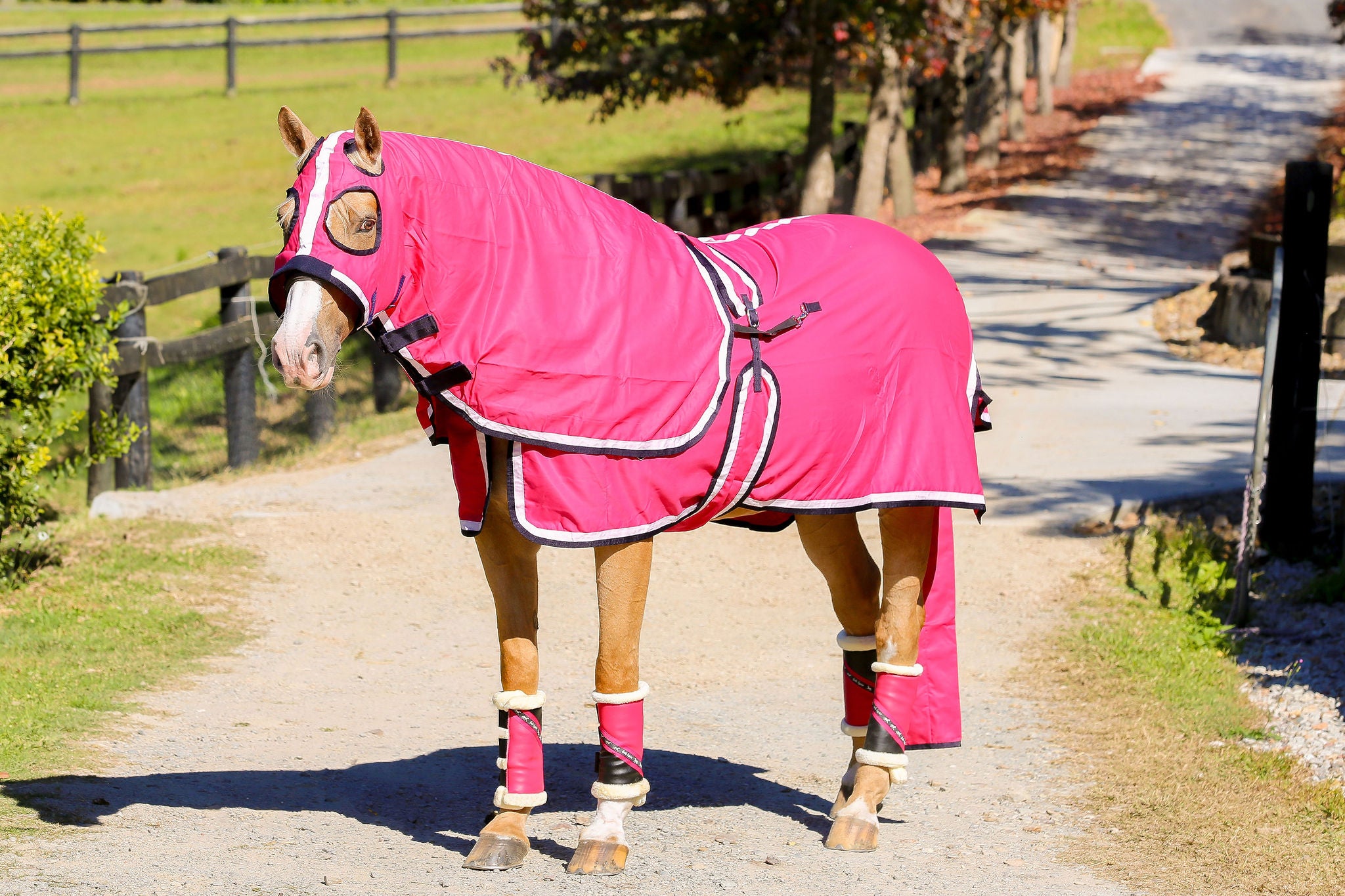 Hot Pink Show Set with White & Navy Trim