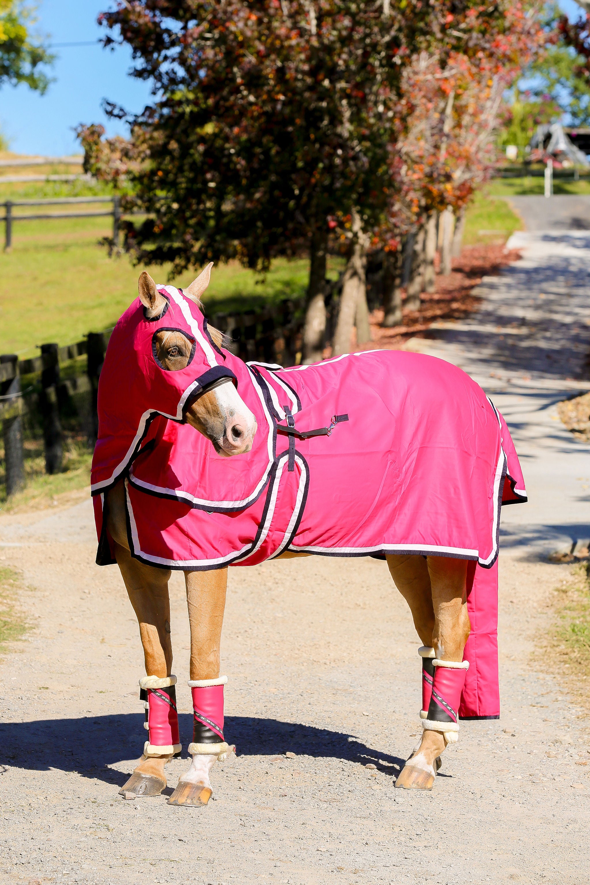 Hot Pink Show Set with White & Navy Trim