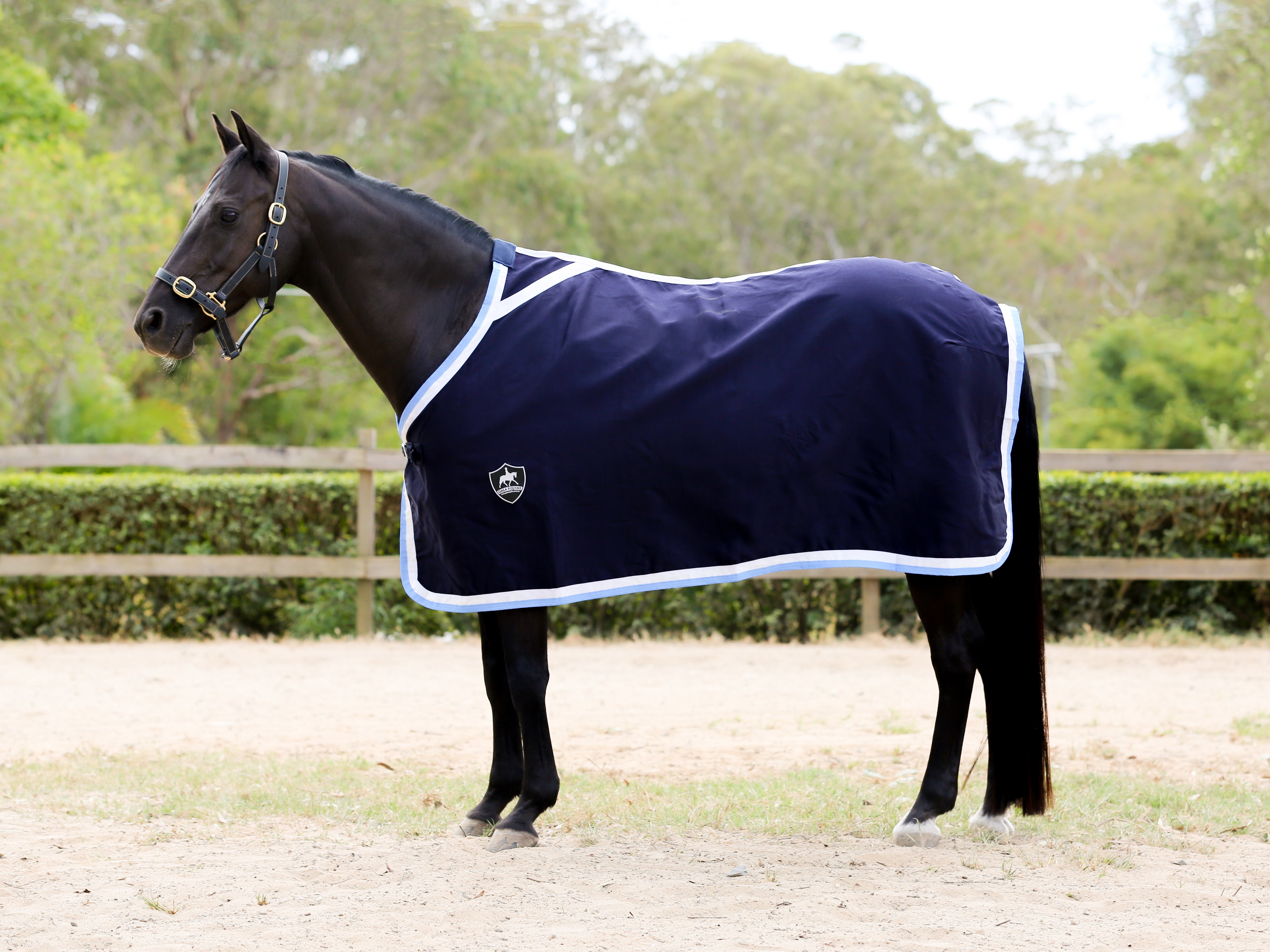 Navy Show Rug with White & Sky Trims