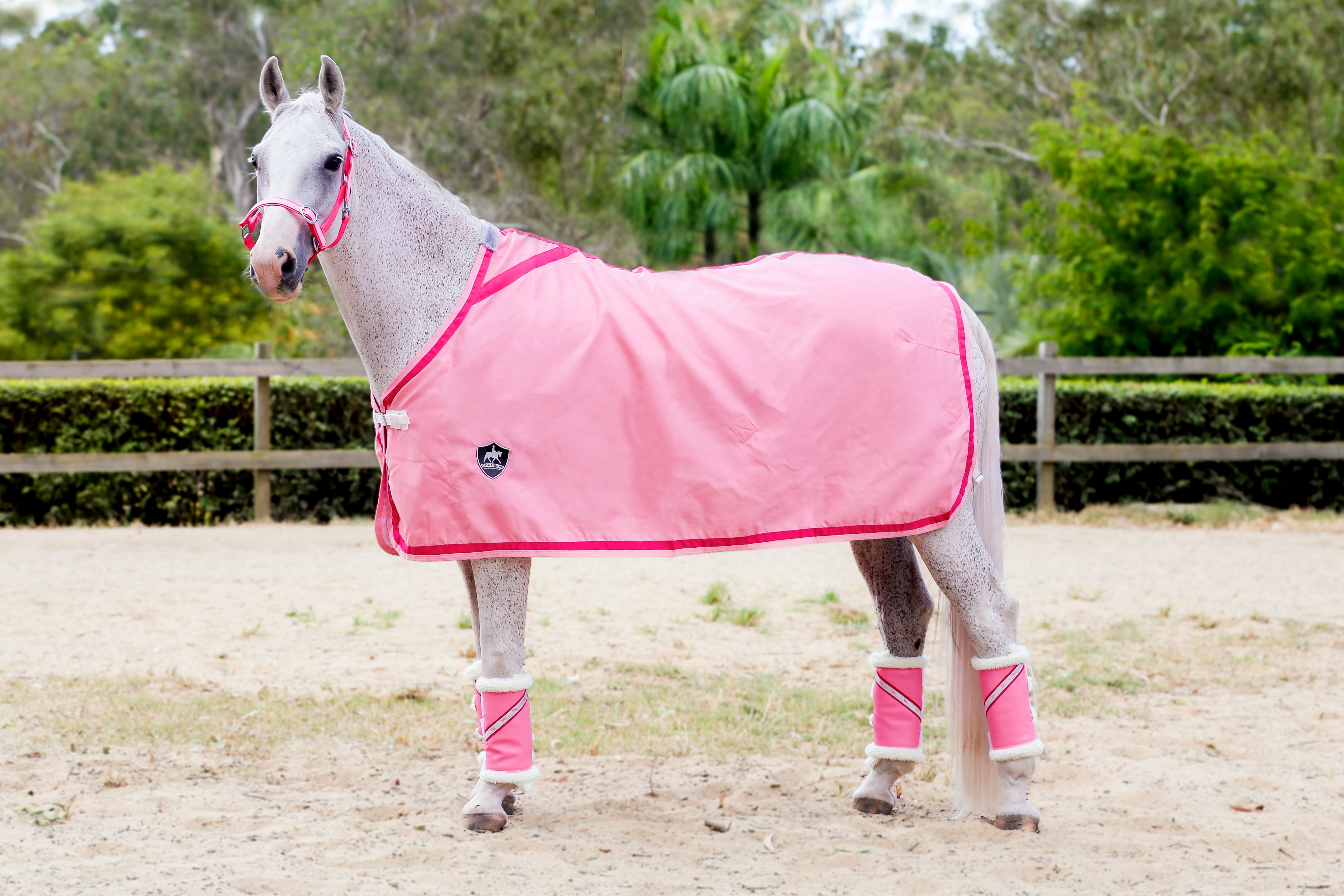 Pink Show Rug with Double Pink Trims