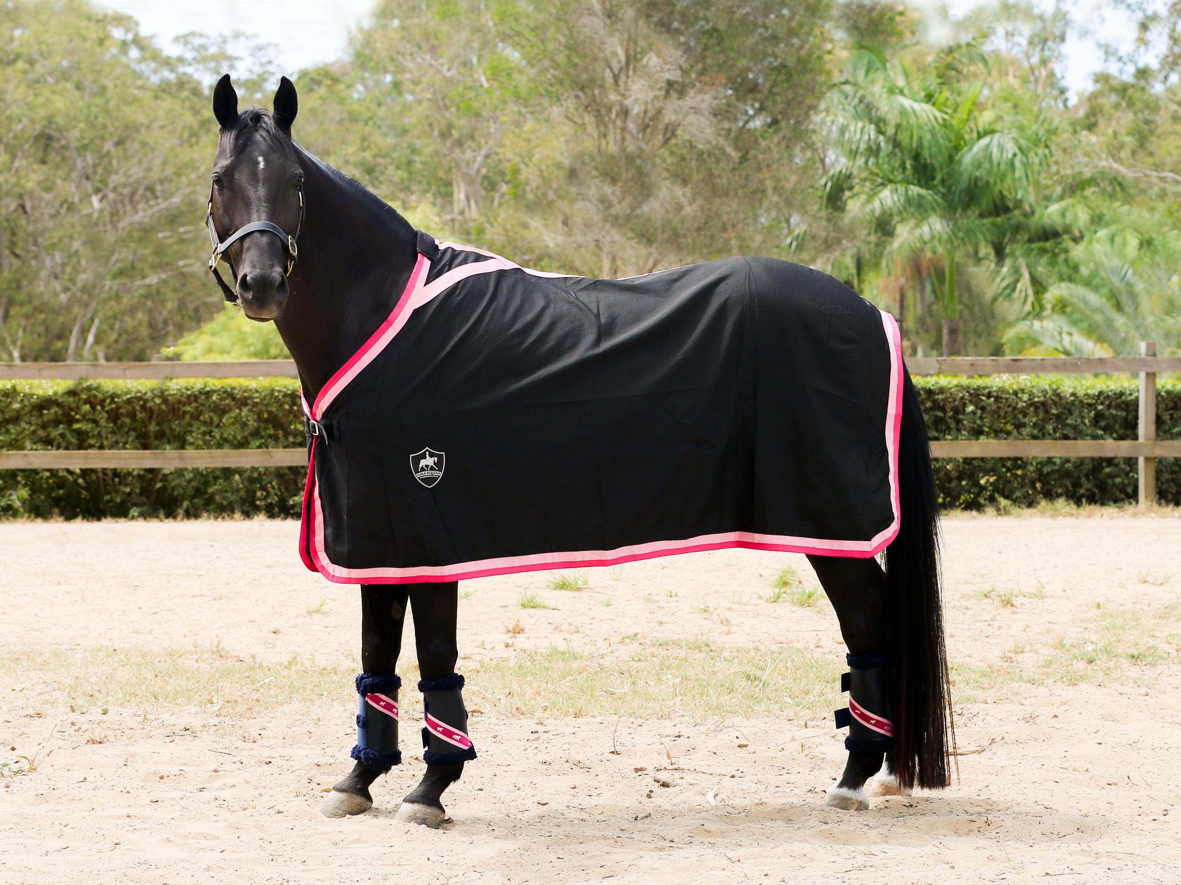 Black Show Rug with Double Pink Trims