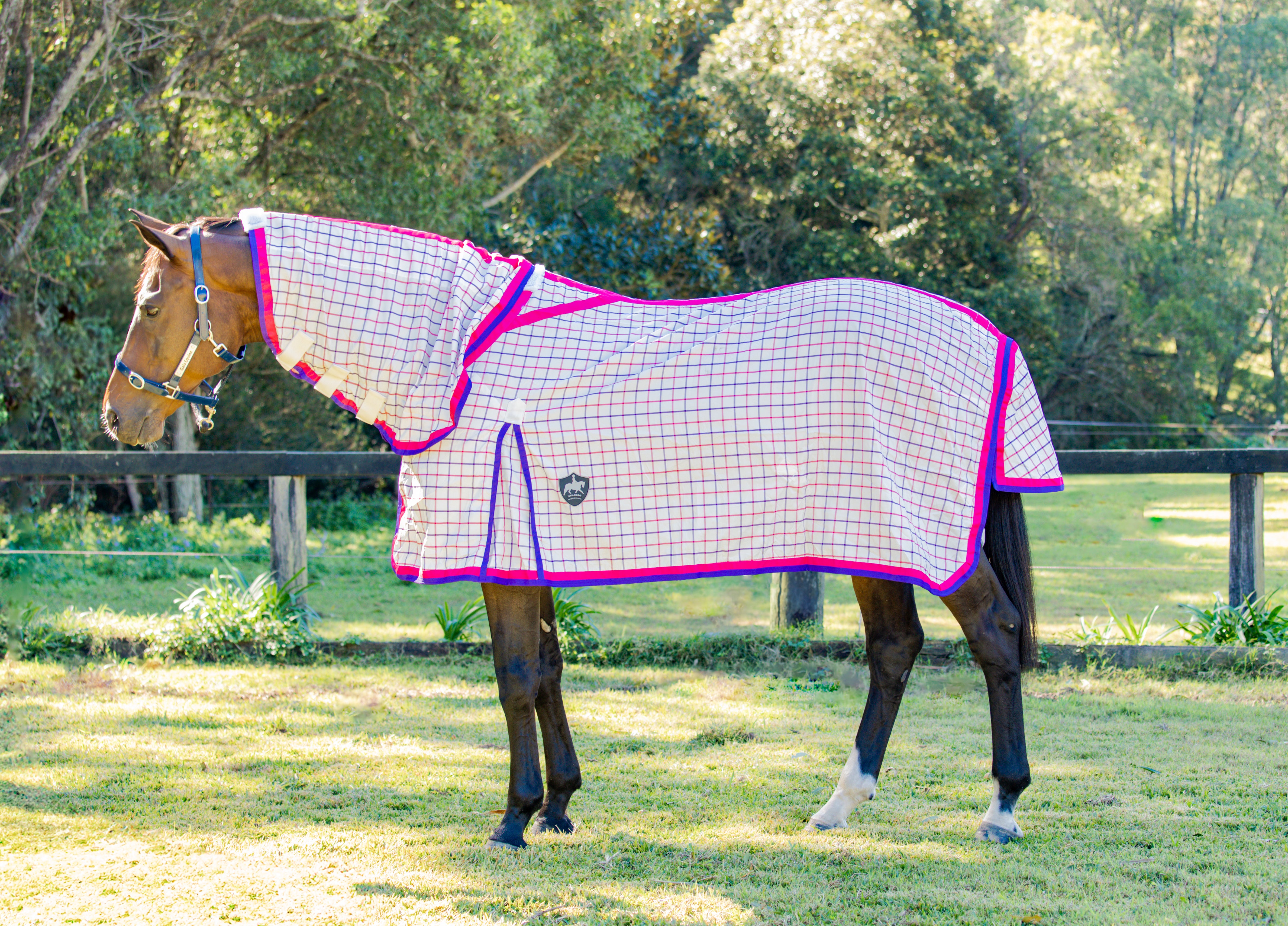 Classic Ripstop Neck Combo Pink & Purple - Light Weight