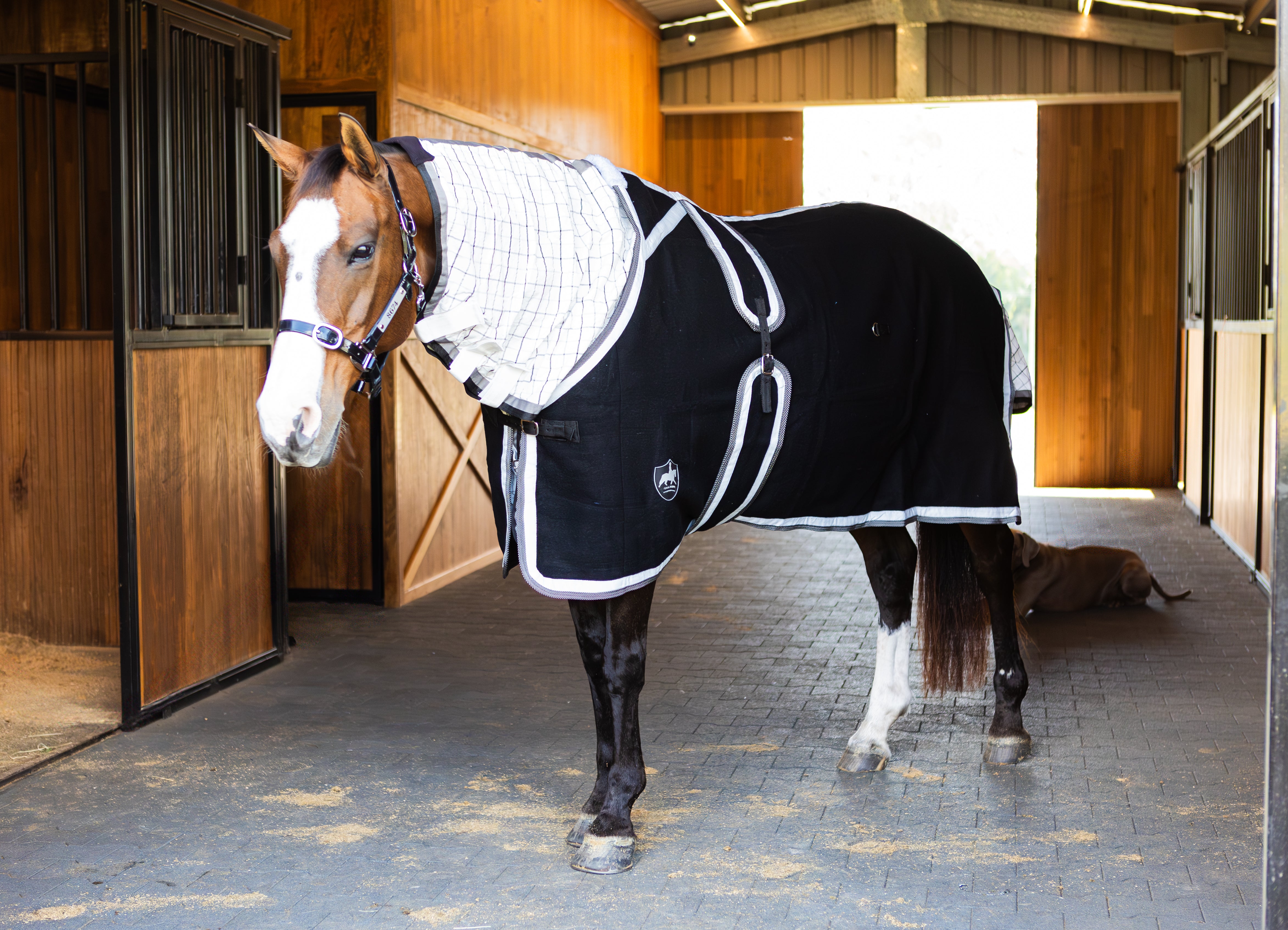 Black Kersey Wool Rug with White & Denim Trims