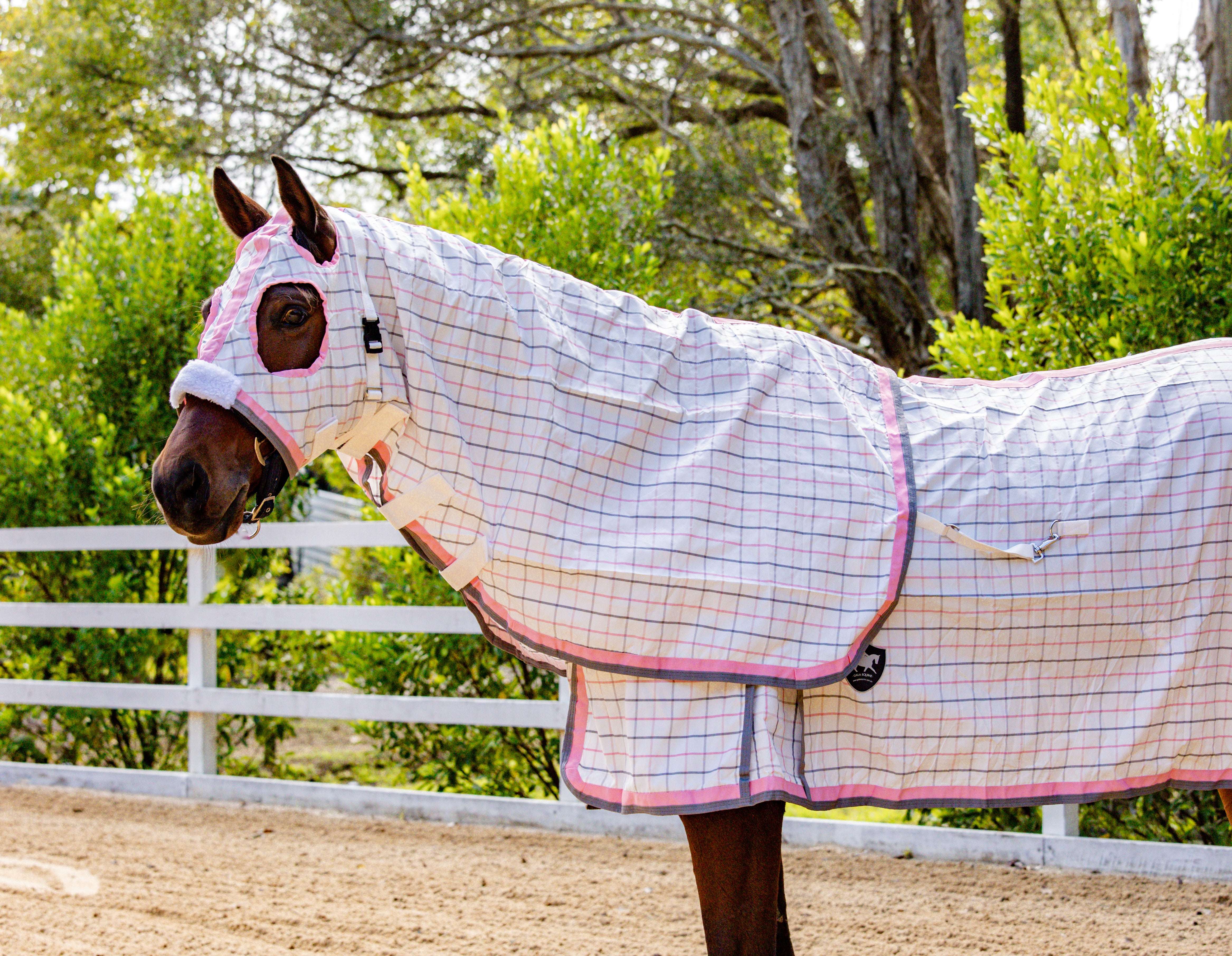 Classic Ripstop Rug & Hood Set Blush Pink & Grey