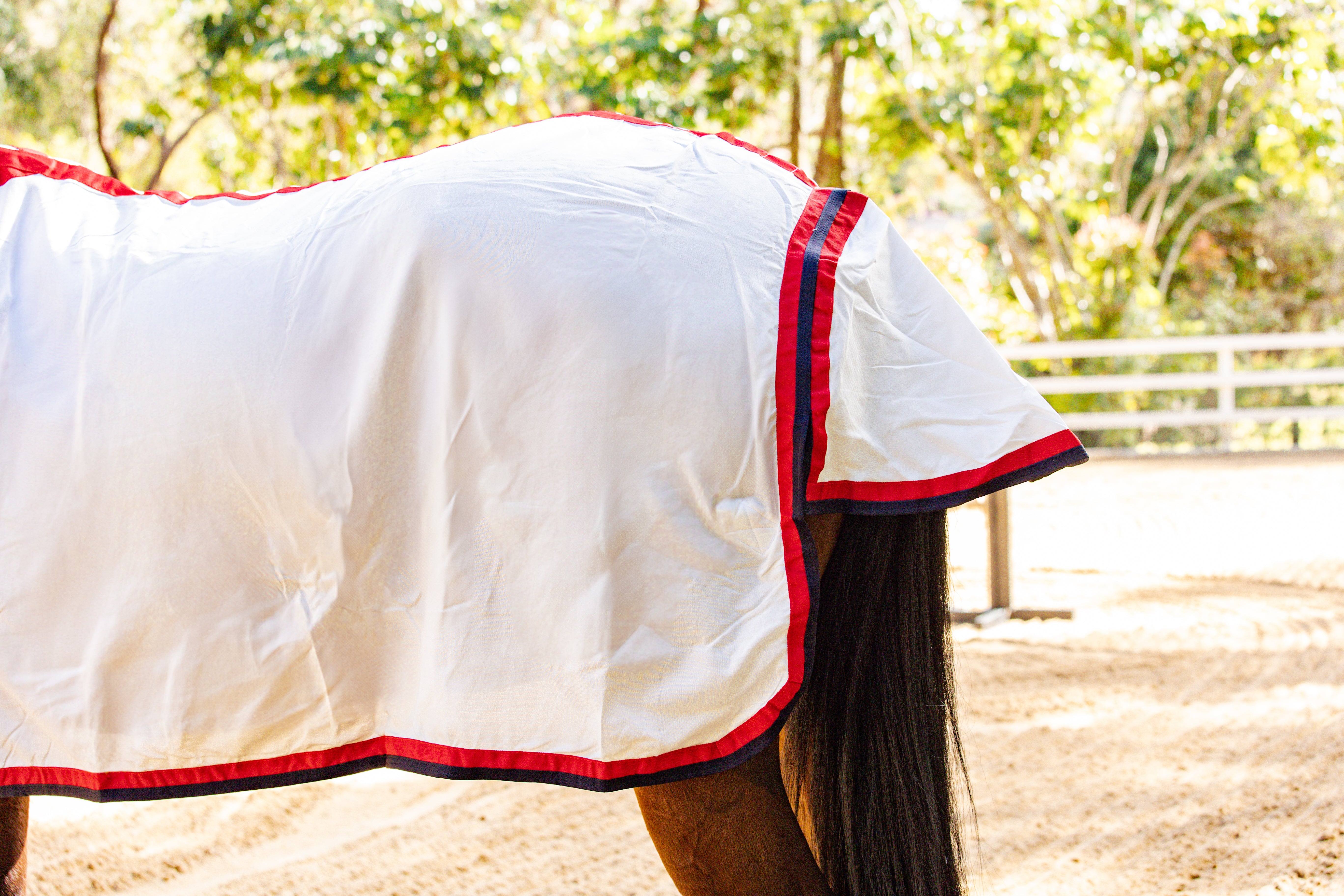 Flag Neck Combo - Navy & Red