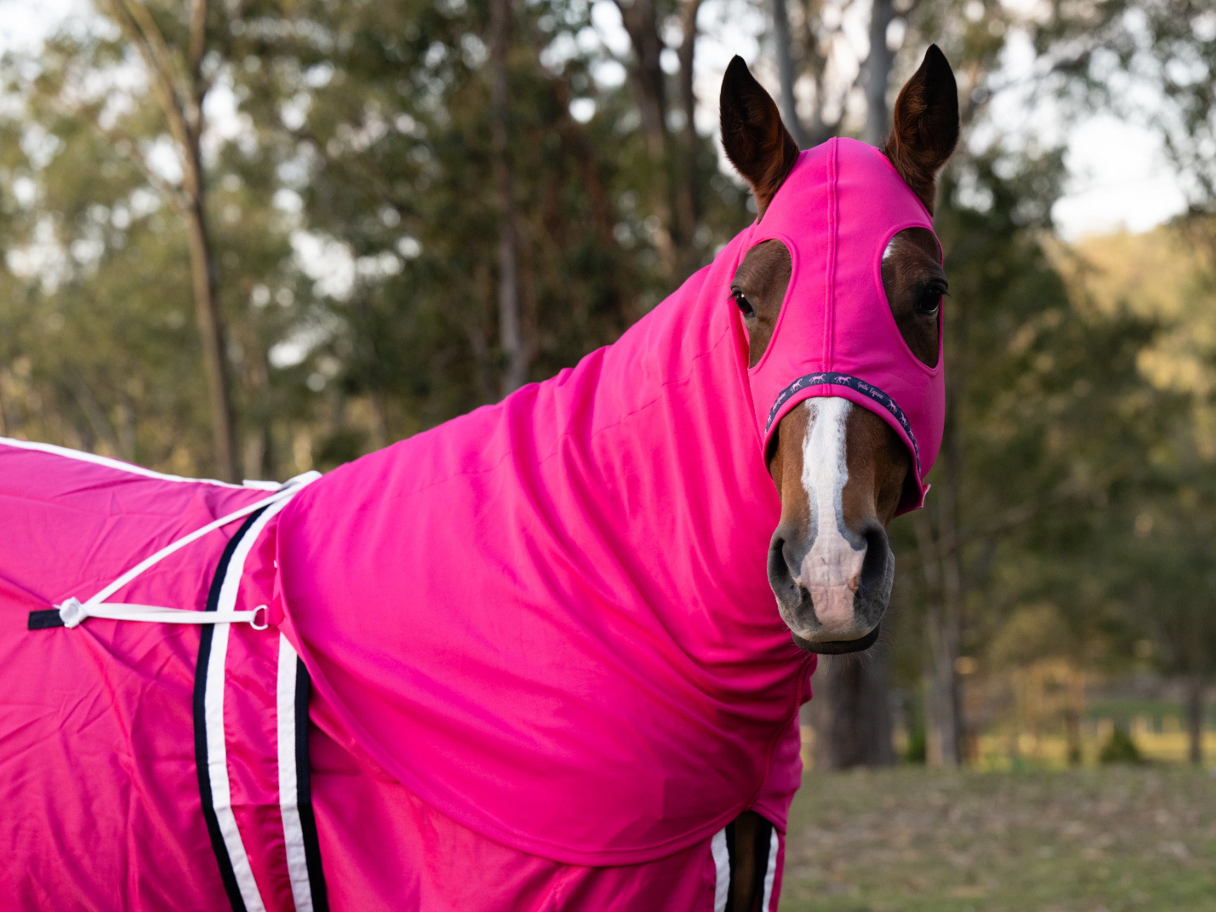 Stretchy Show Hood with Zip Hot Pink - STOCKS ARRIVING SOON!