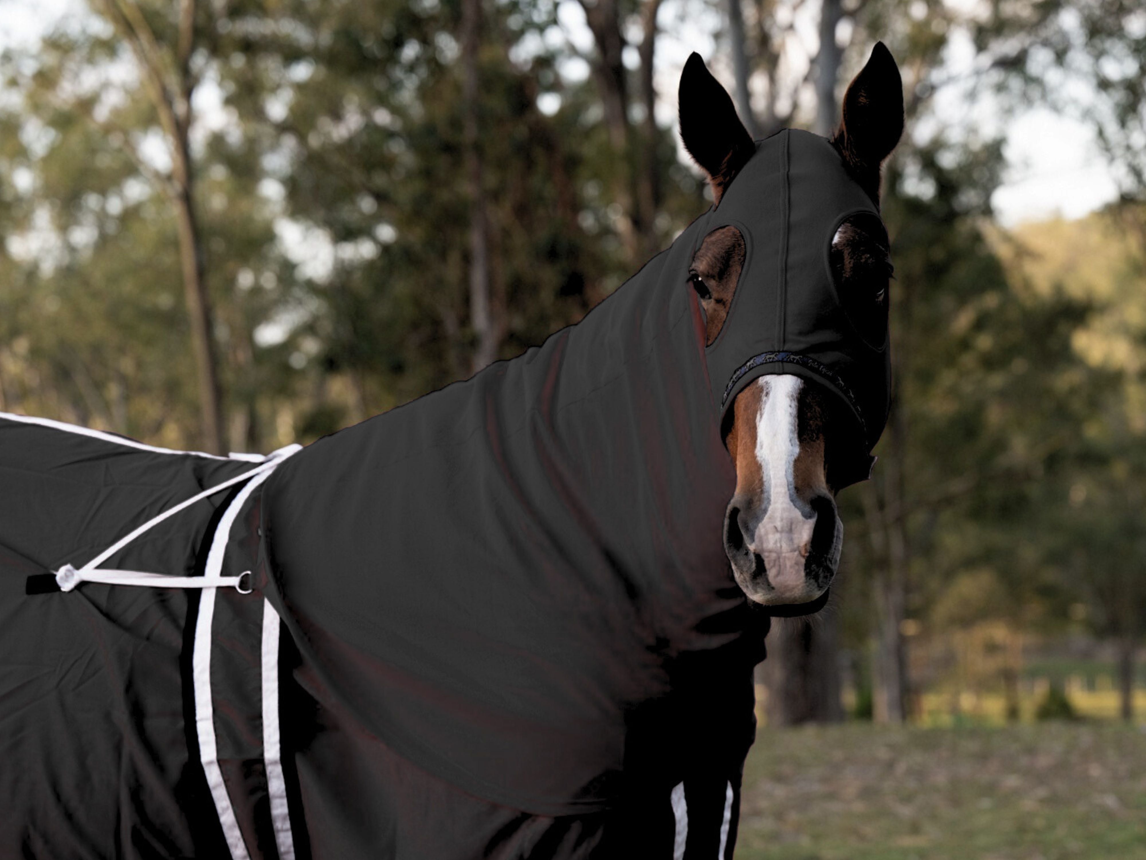 Stretchy Show Hood with Zip - Black