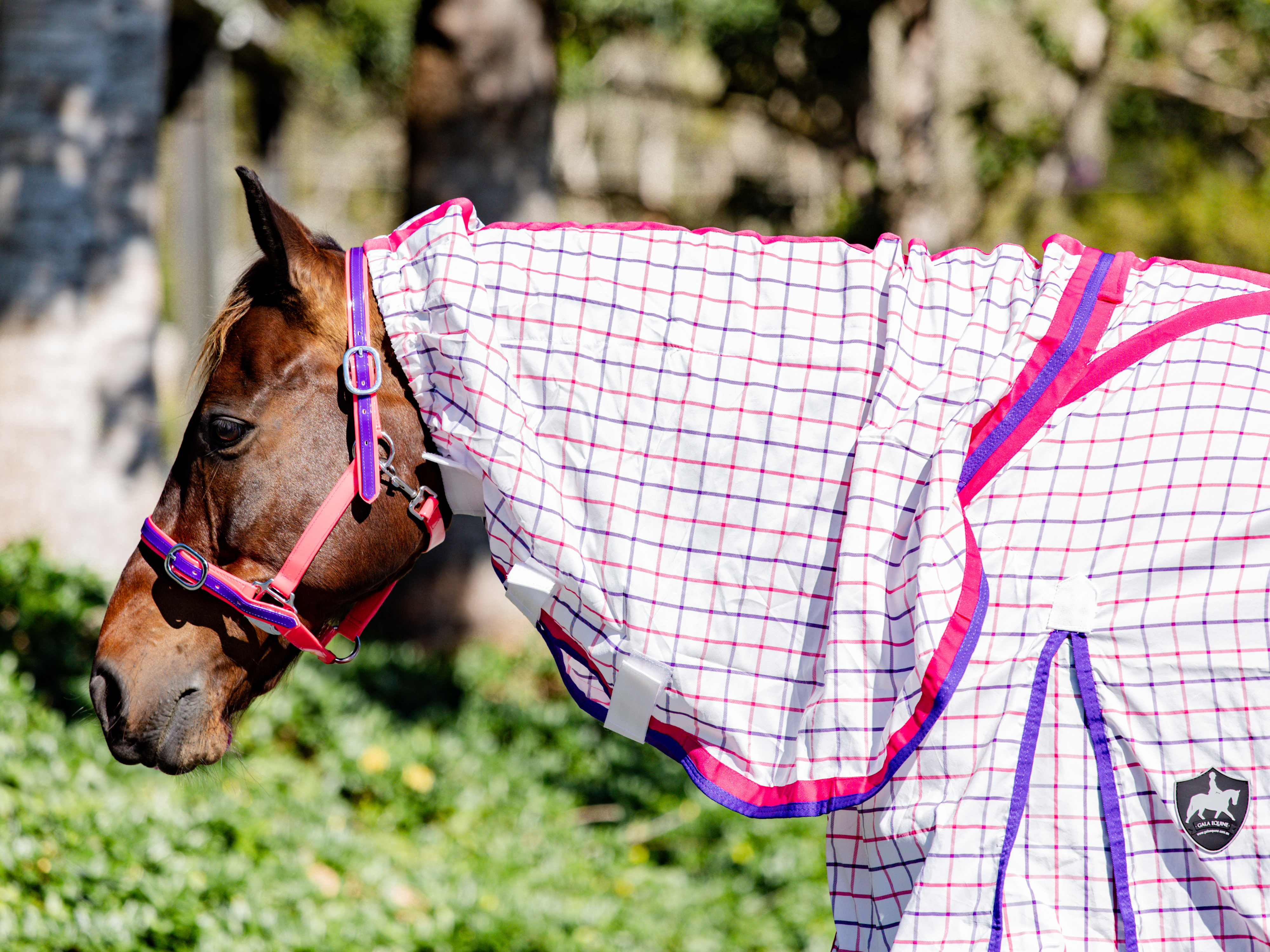 Classic Ripstop Scrunchie Neck Combo Pink & Purple - Light Weight