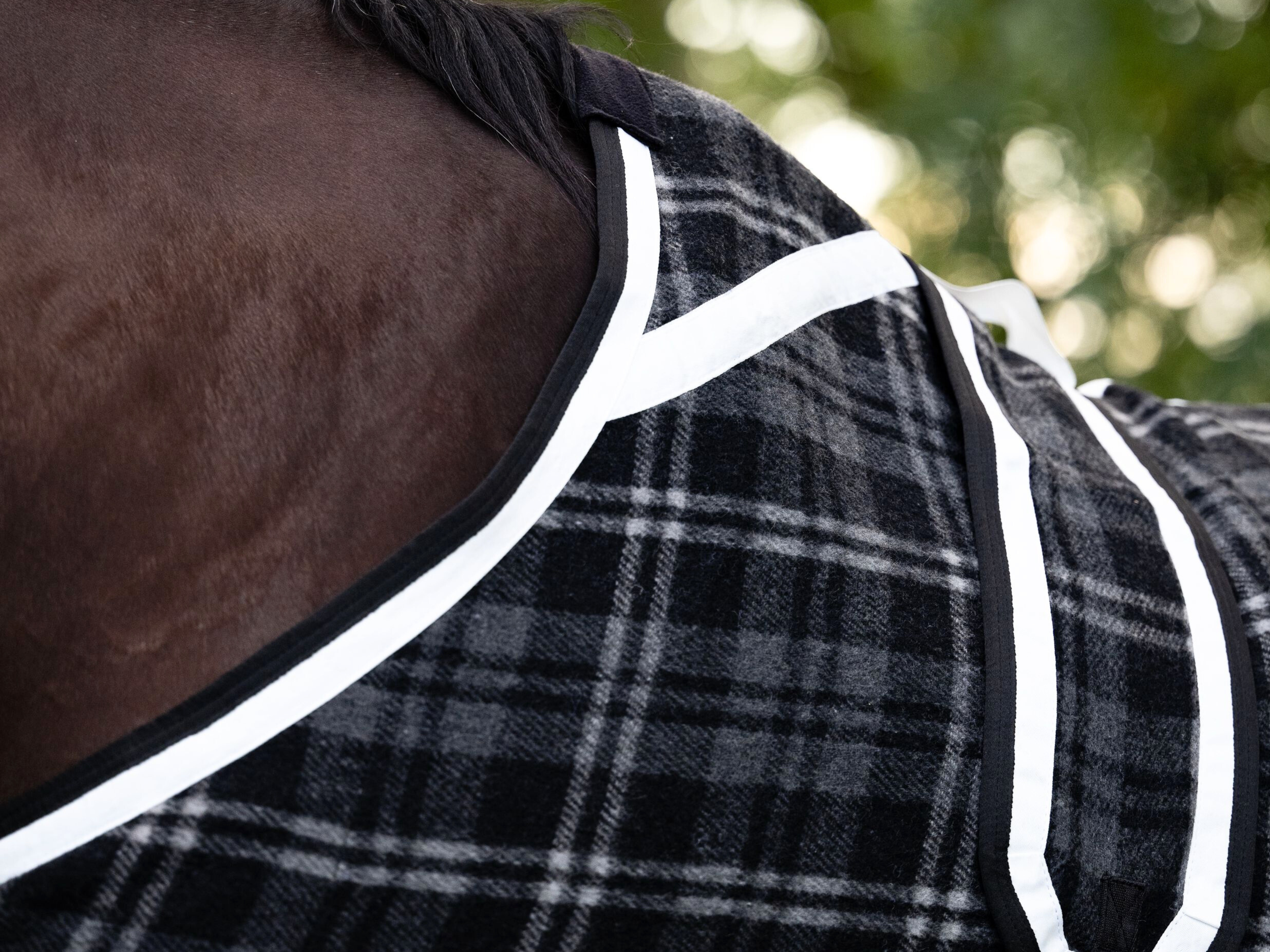 Black Check Kersey Wool Hood - White & Black Trims