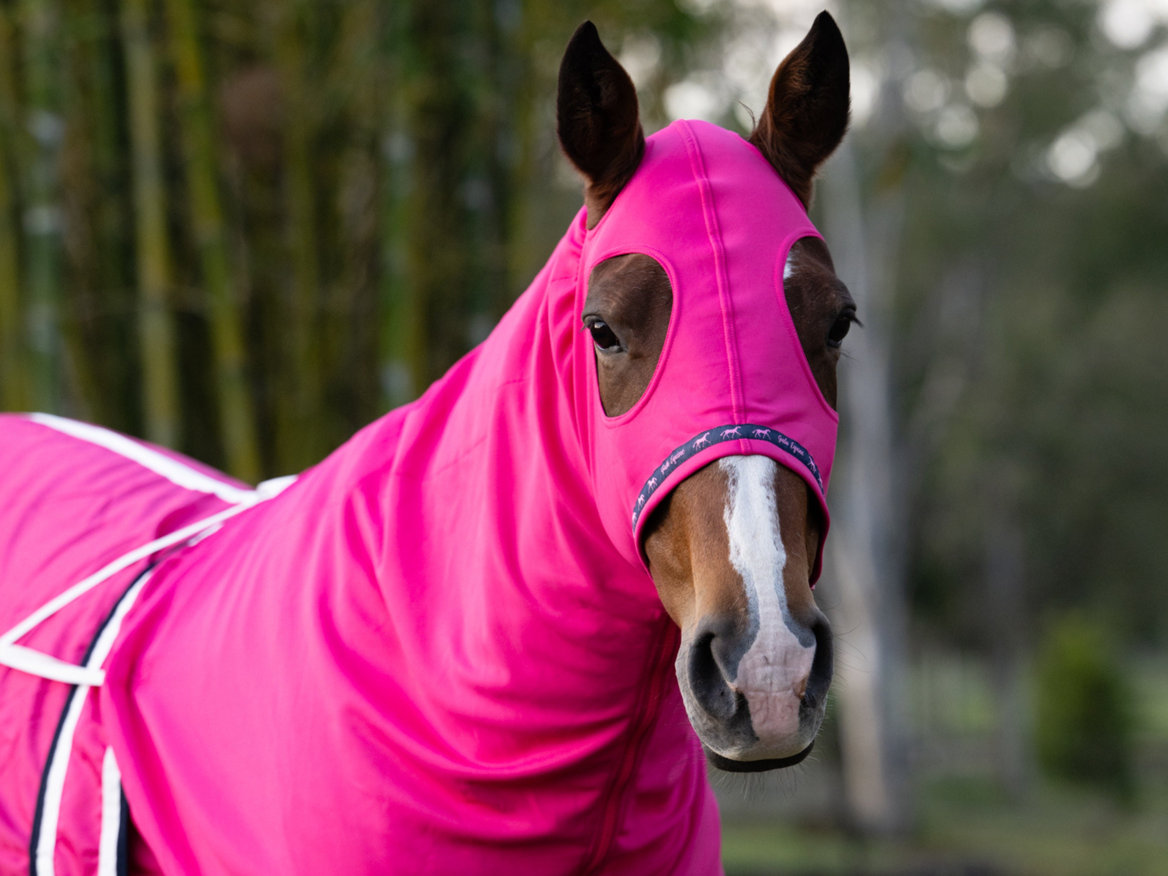 Stretchy Show Hood with Zip Hot Pink - STOCKS ARRIVING SOON!