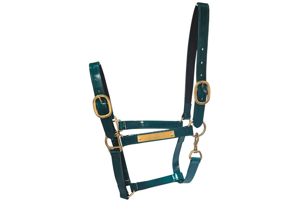 Pvc Halters PVC Halter - Bottle Green w Brass Fittings – Gala Equine