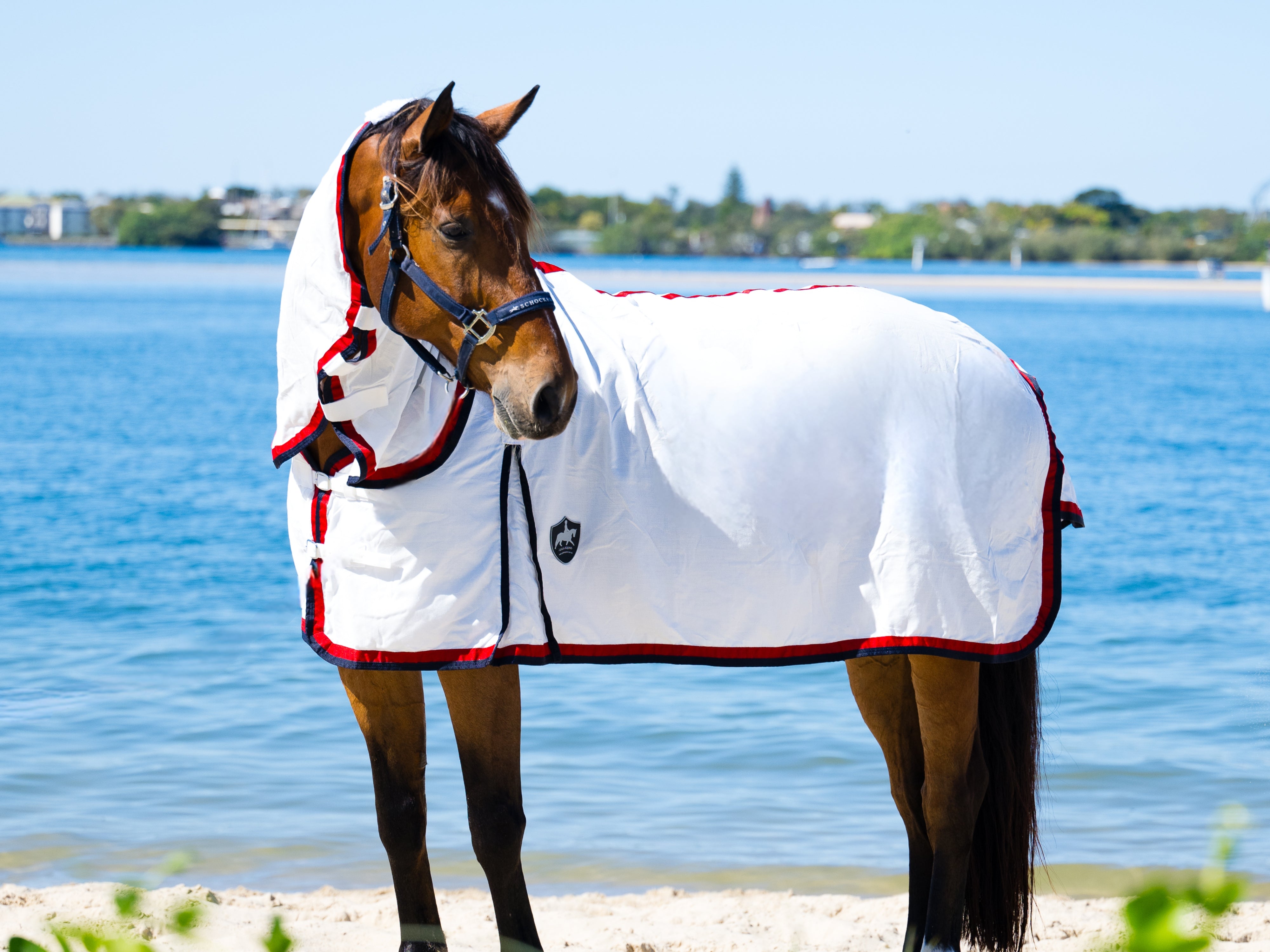 Flag Neck Combo - Navy & Red
