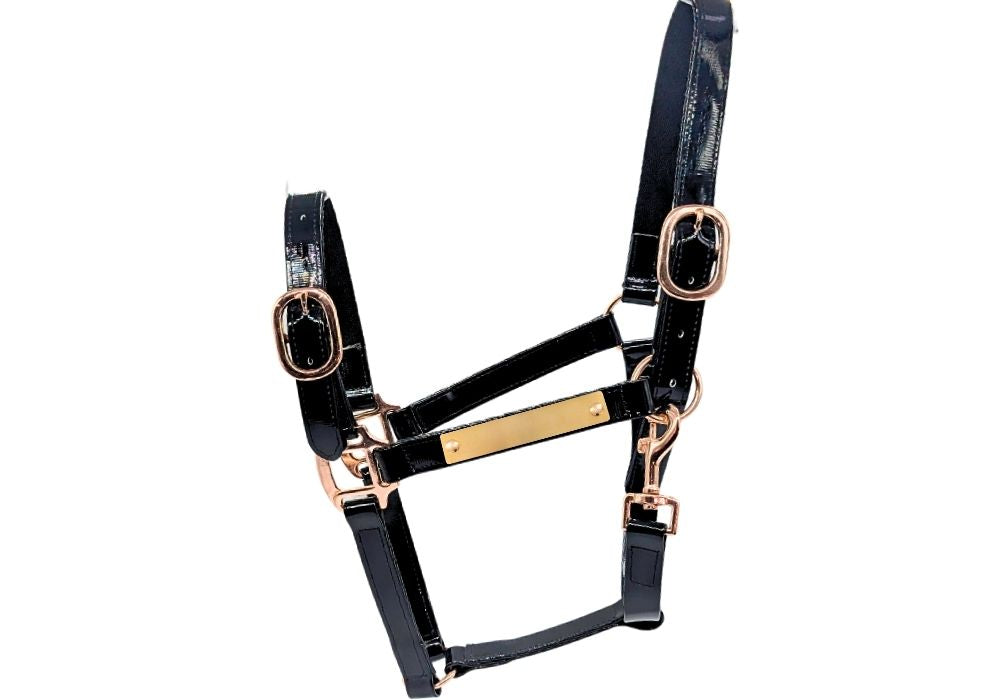 Pvc Halters PVC Halter - Black with Rose Gold Fittings – Gala Equine