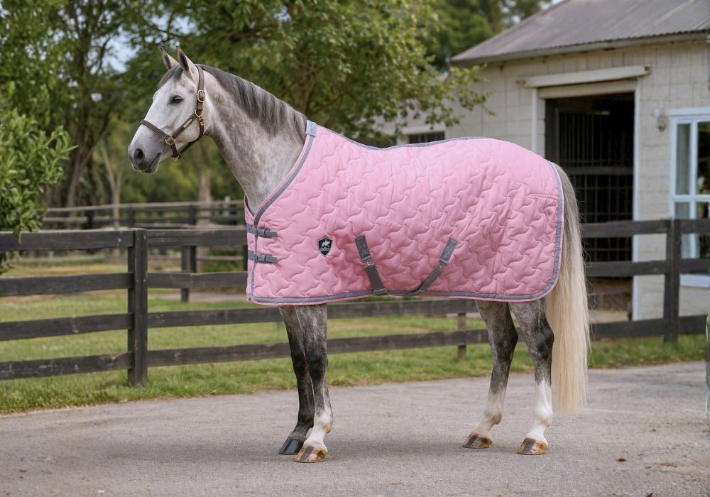 Pink Stable Rug Luxury Stable Doona - Blush Pink with Grey Trims – Gala Equine