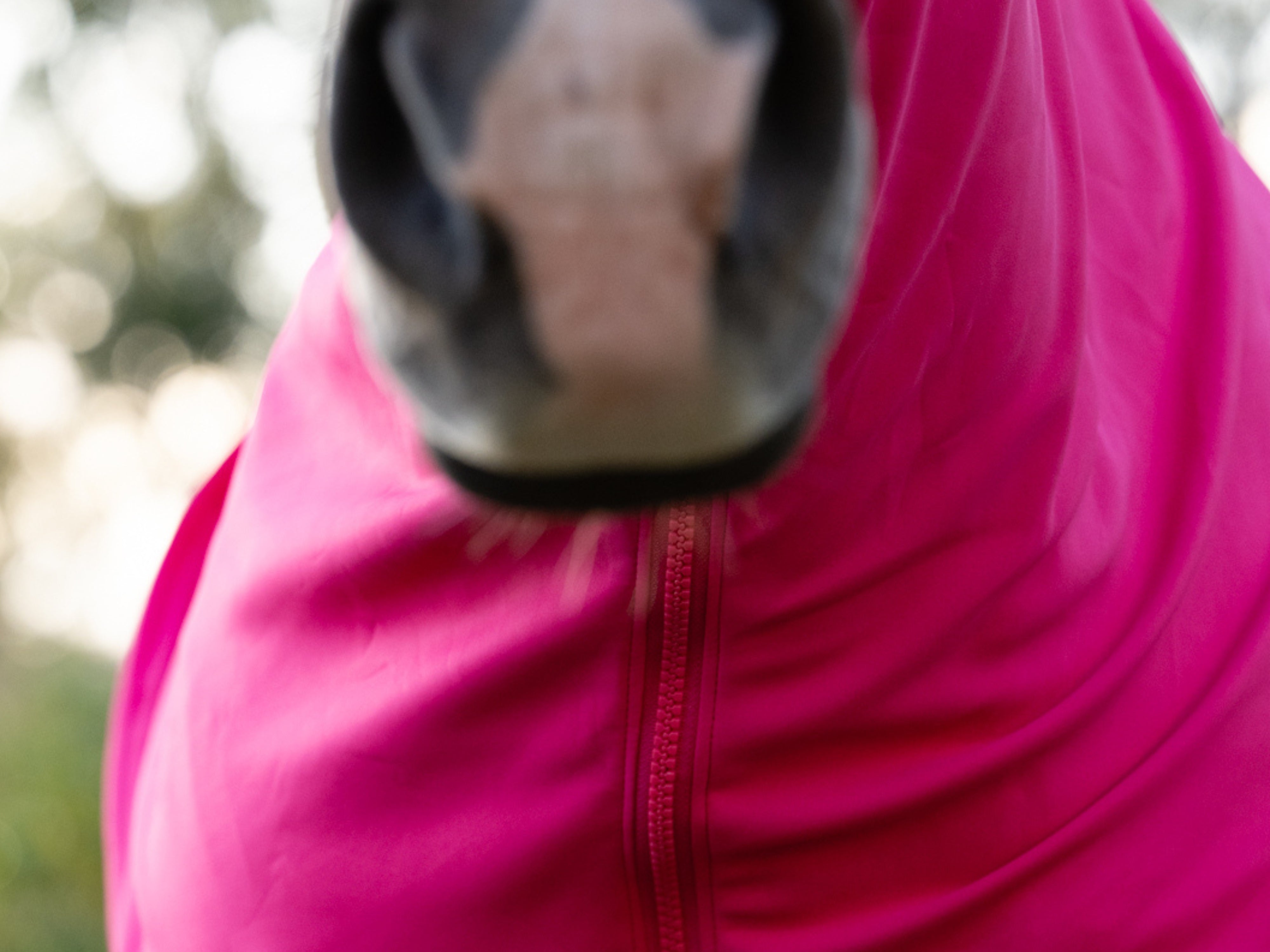 Stretchy Show Hood with Zip Hot Pink - STOCKS ARRIVING SOON!