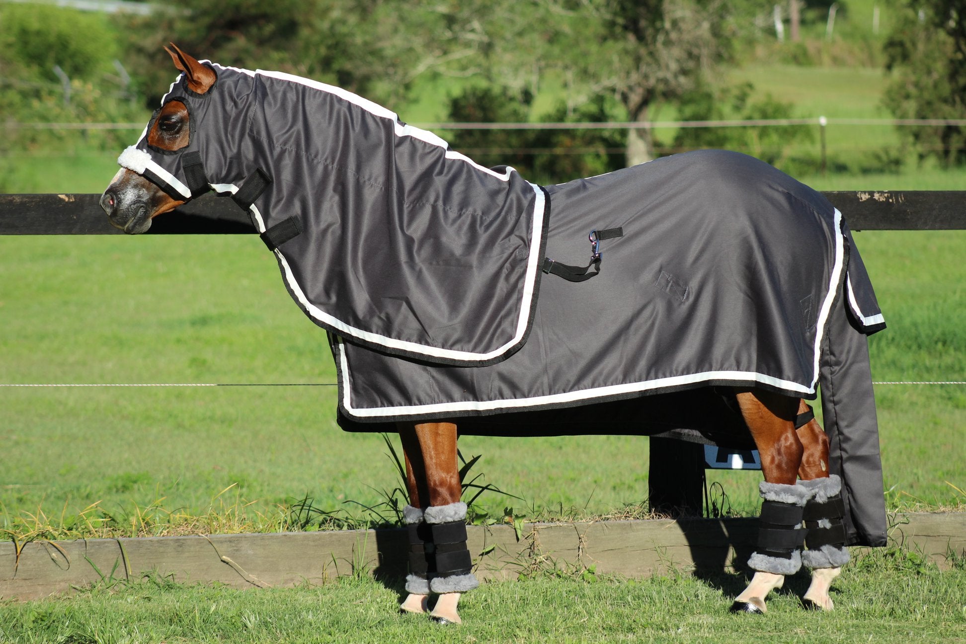 Surcingle Set Black Show Set + Surcingle with Platinum & Black Trims - OVERSTOCKED ...