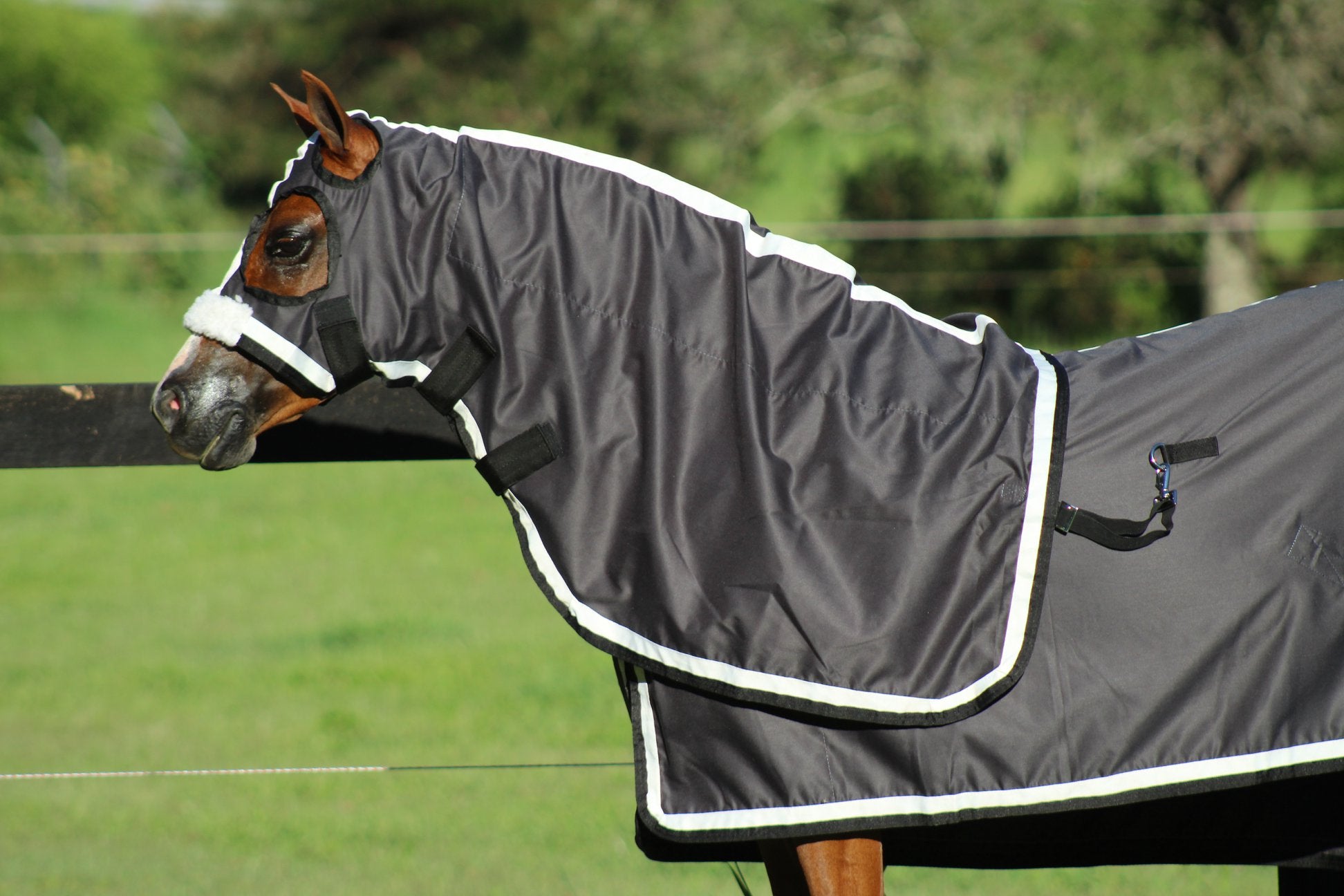 Surcingle Set Black Show Set + Surcingle with Platinum & Black Trims – Gala Equine