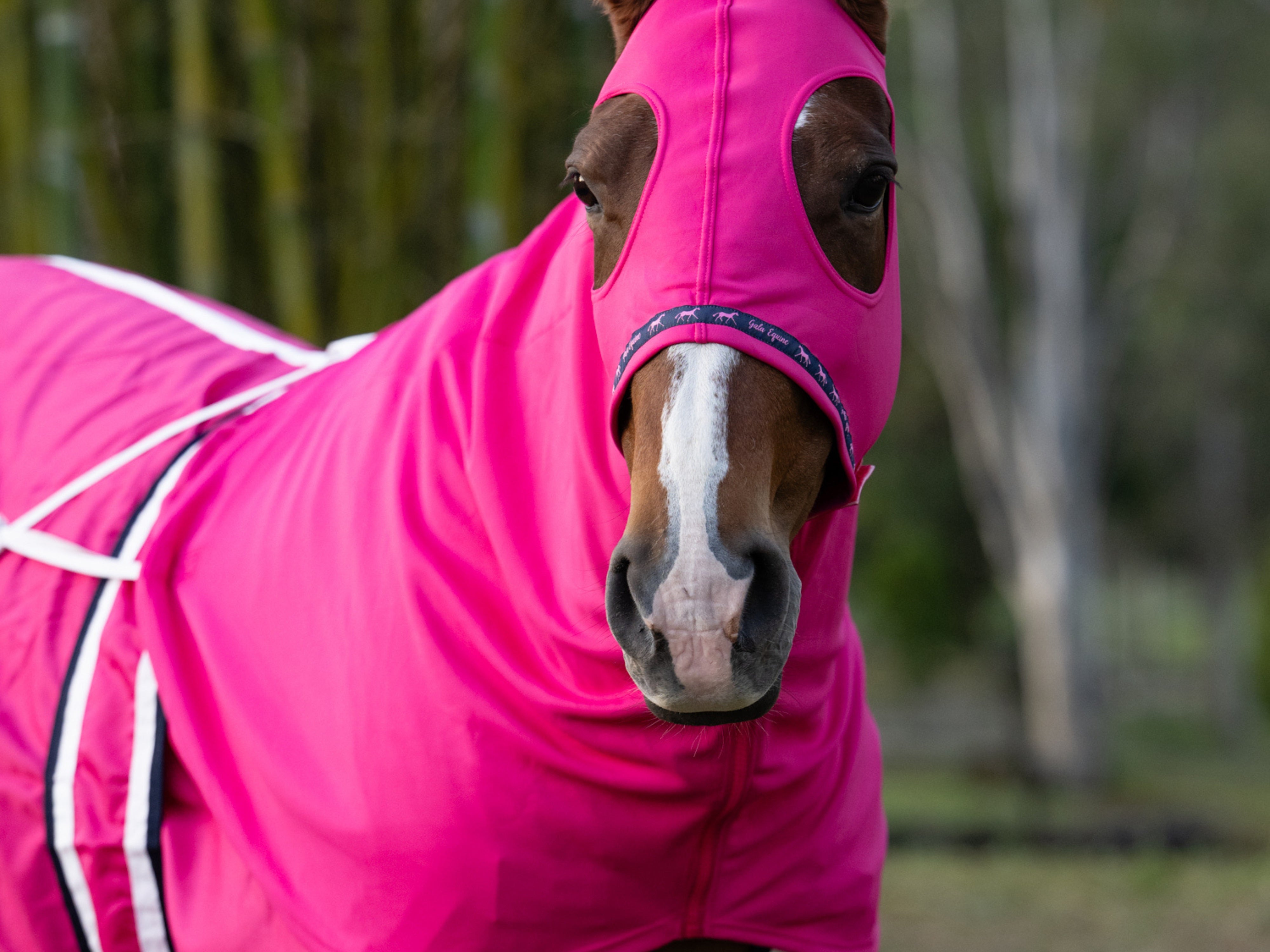 Stretchy Show Hood with Zip Hot Pink - STOCKS ARRIVING SOON!