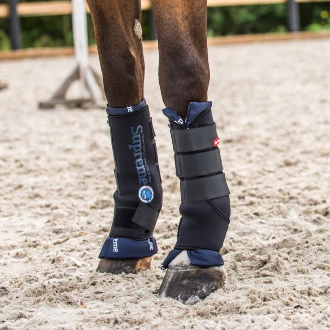HZ Stable Boots - Back
