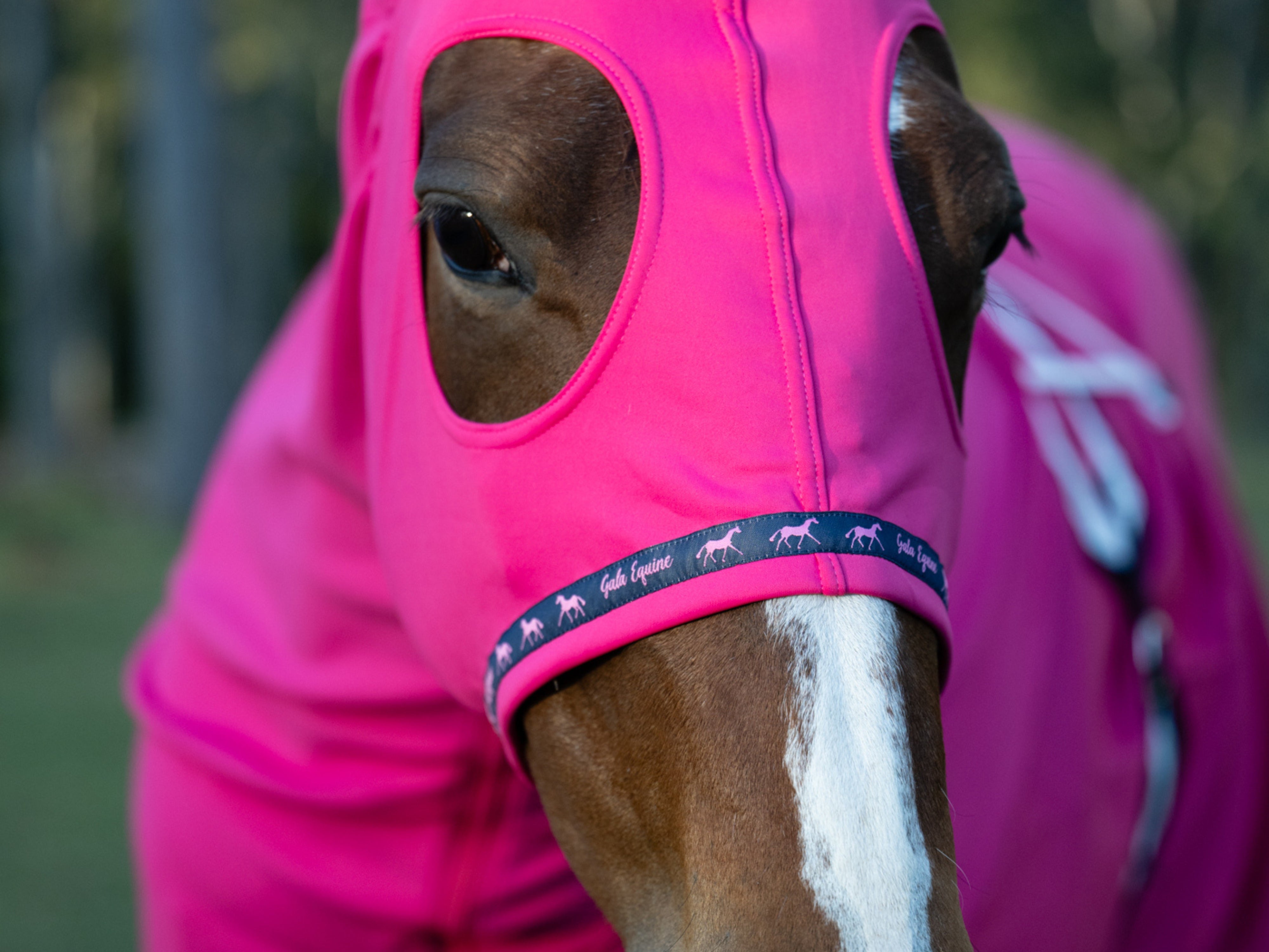 Stretchy Show Hood with Zip Hot Pink - STOCKS ARRIVING SOON!