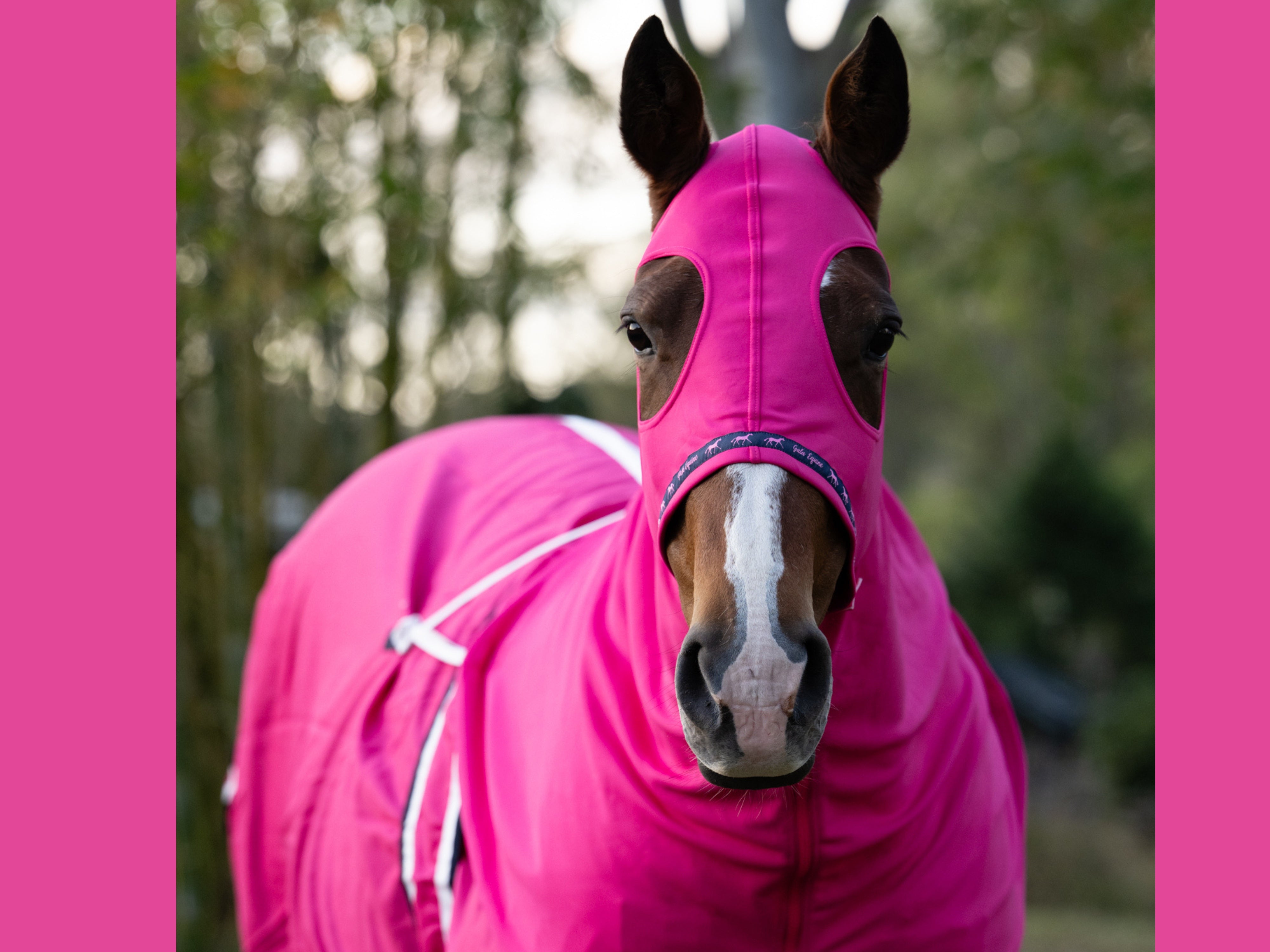 Stretchy Show Hood with Zip Hot Pink - STOCKS ARRIVING SOON!