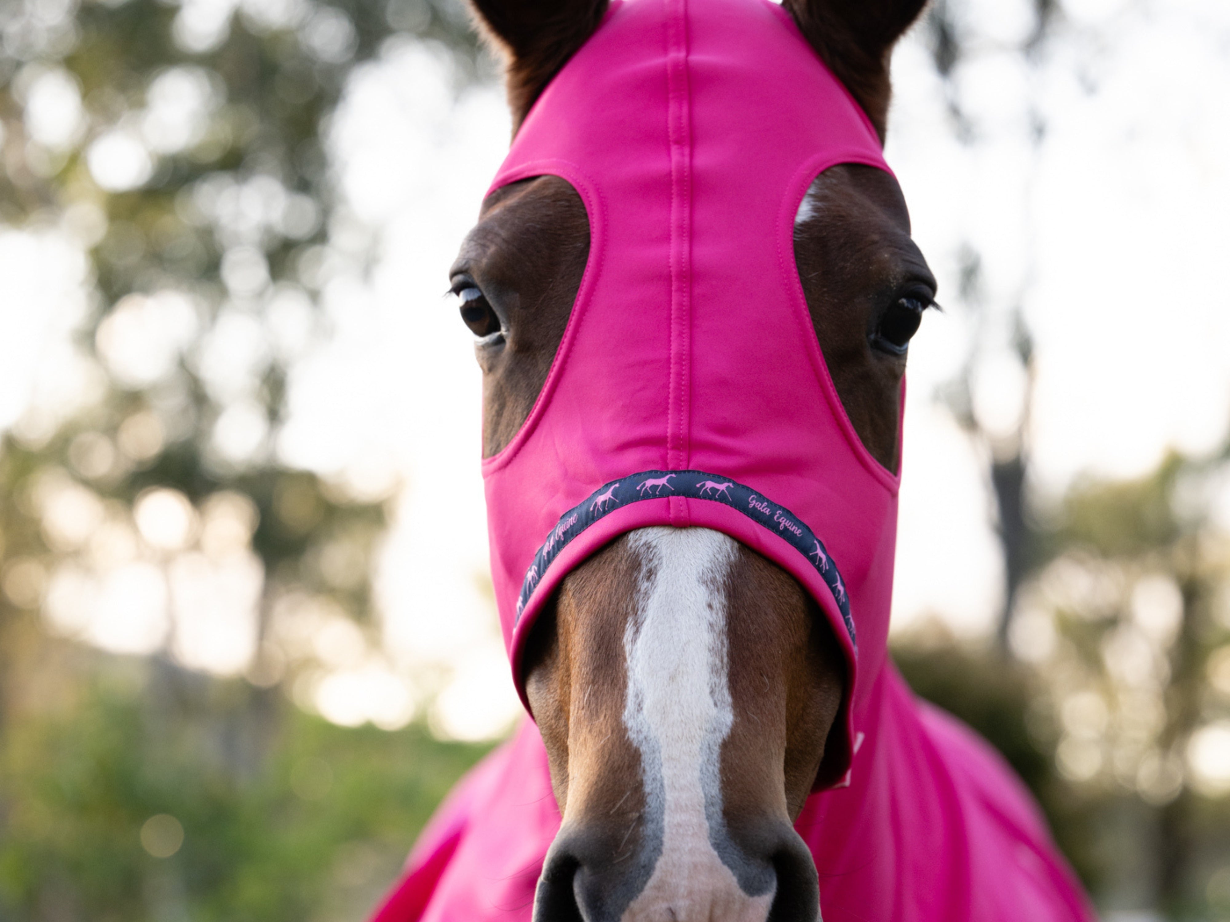 Stretchy Show Hood with Zip Hot Pink - STOCKS ARRIVING SOON!