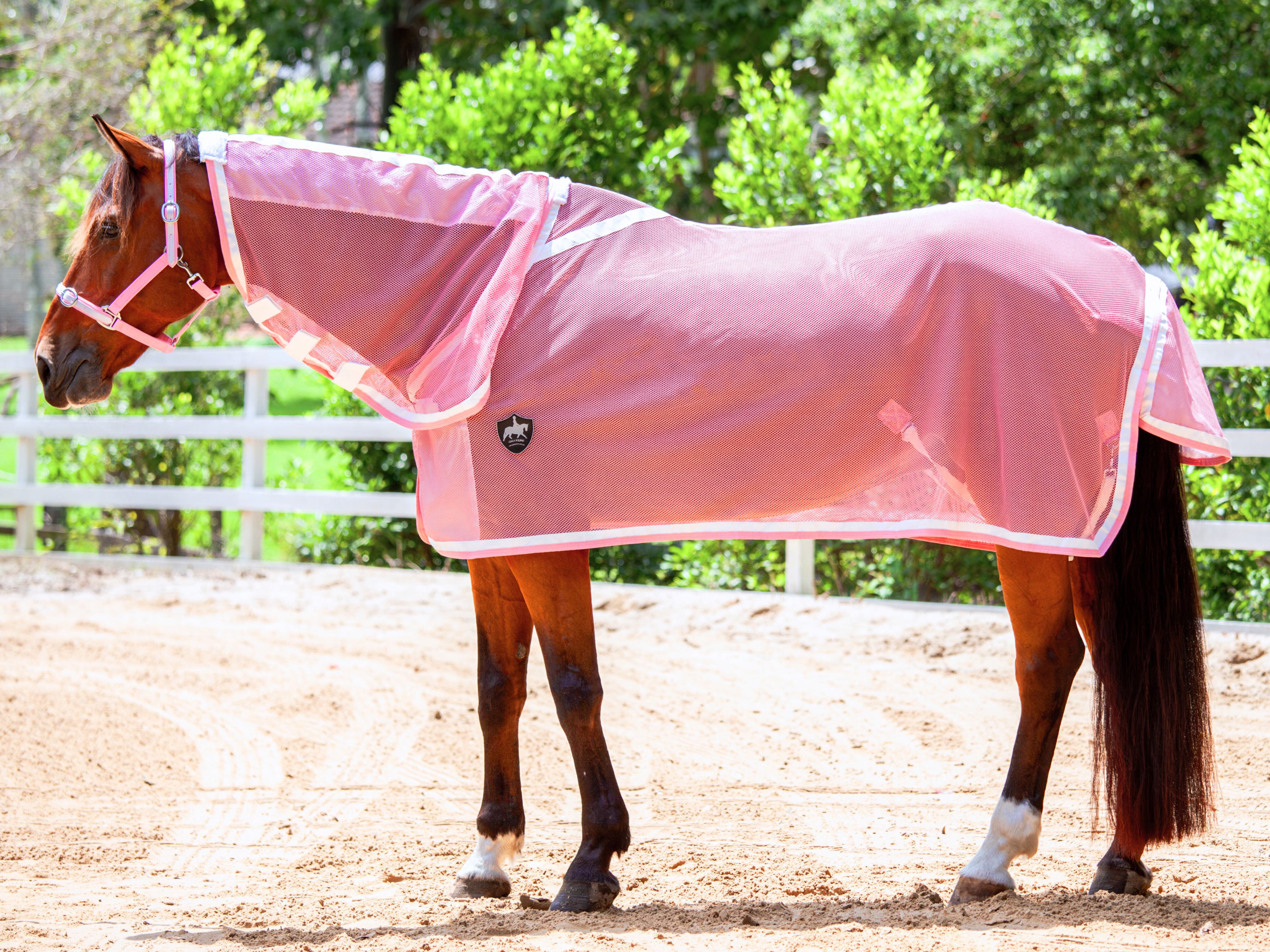 Summer Mesh Neck Combo - Blush Pink w White & Blush Pink Trims