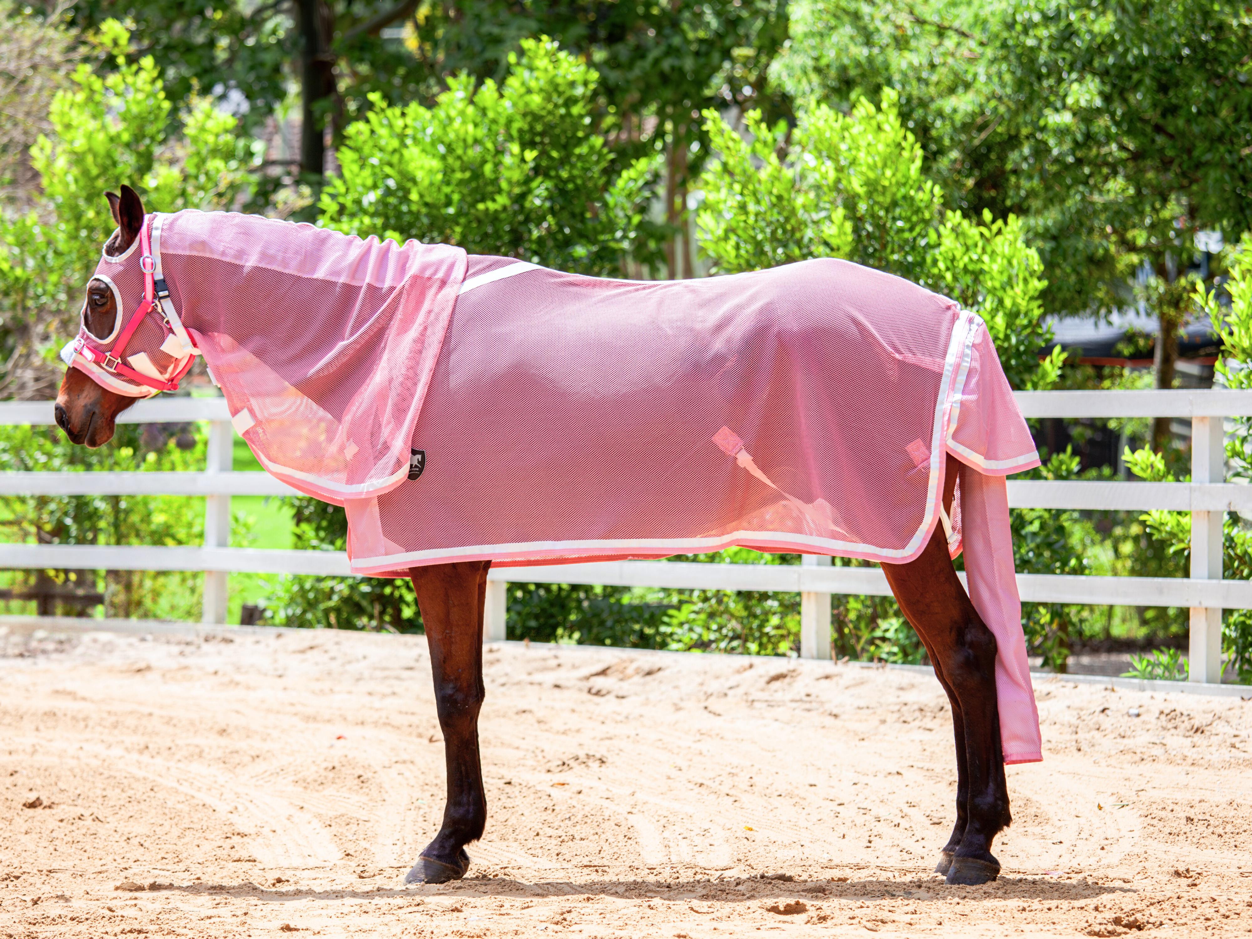 Summer Mesh Hood Combo - Blush Pink w White & Blush Pink Trims - New Summer Design