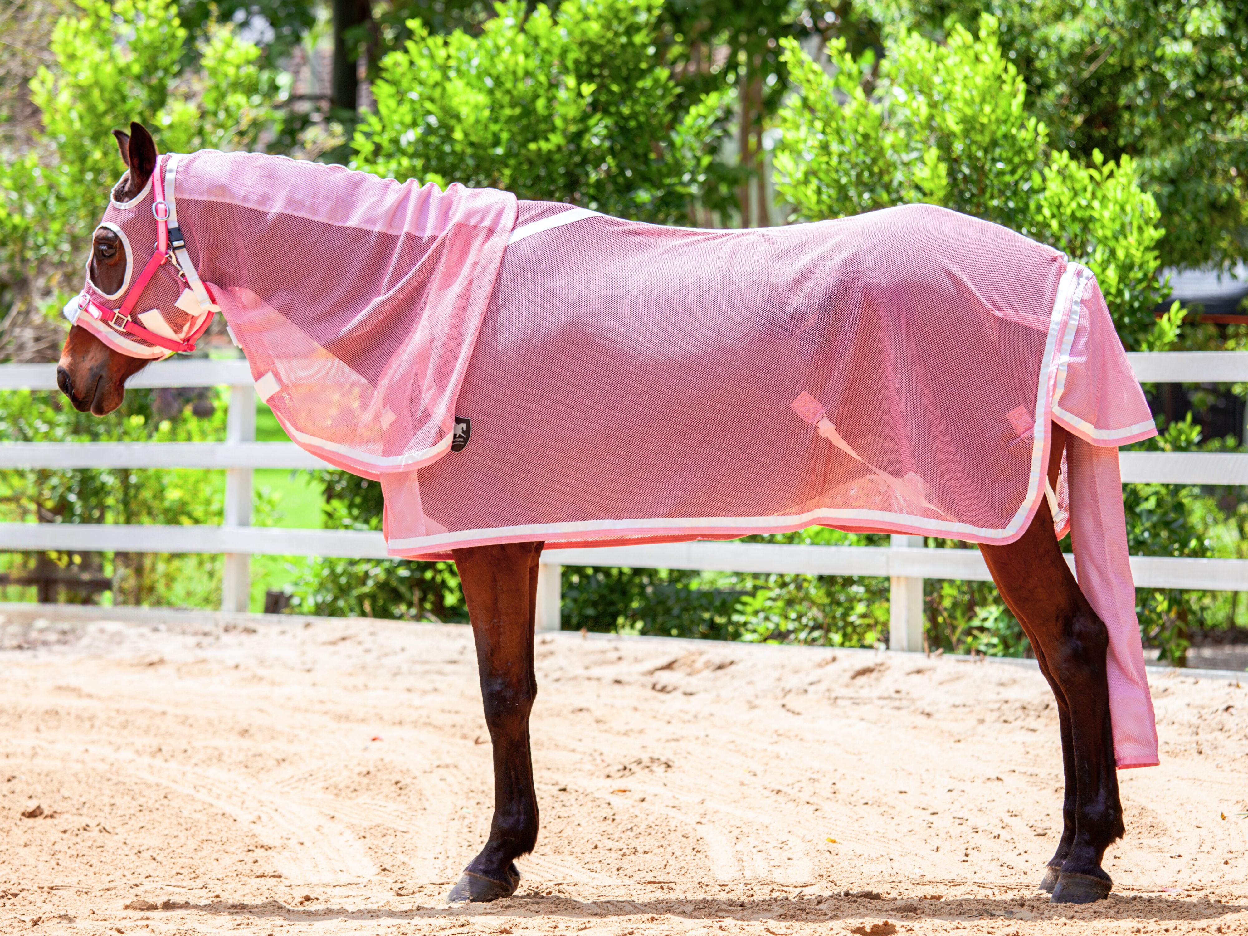 Summer Mesh Hood Combo - Blush Pink w White & Blush Pink Trims - New Summer Design