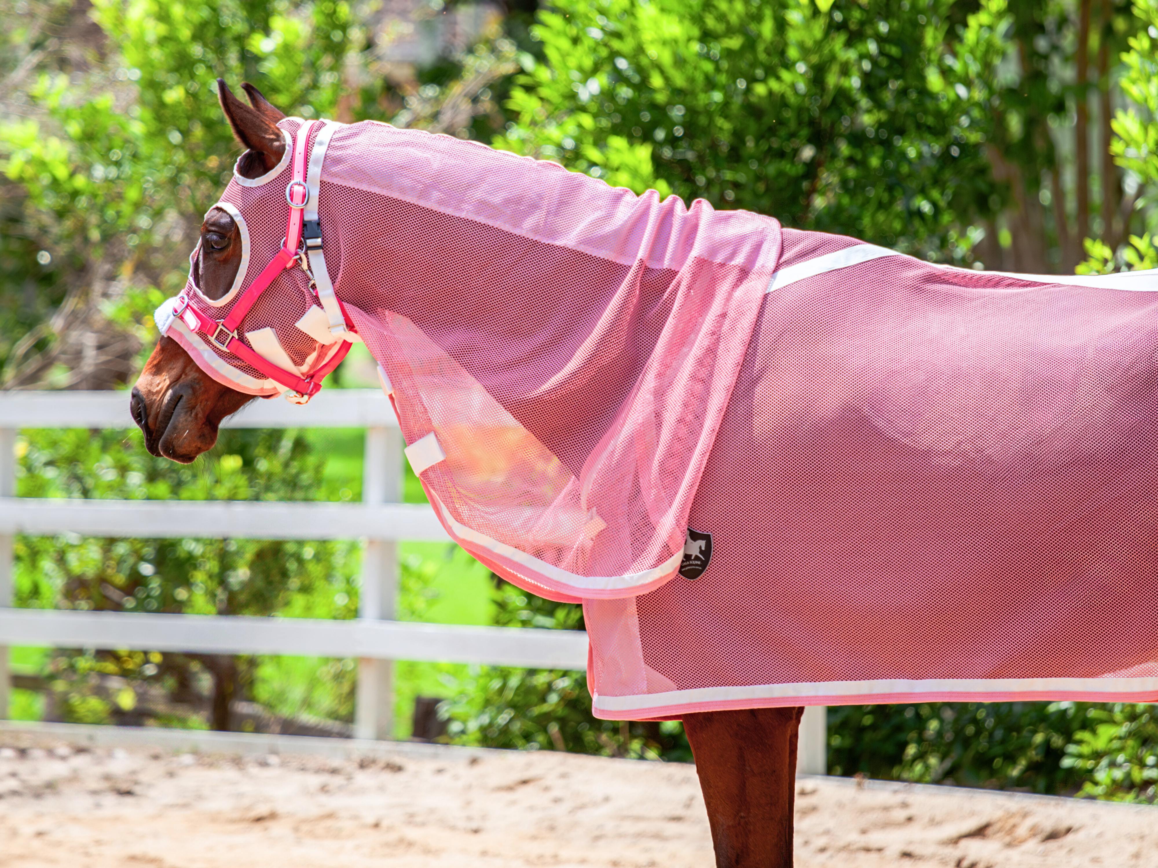 Summer Mesh Hood Combo - Blush Pink w White & Blush Pink Trims