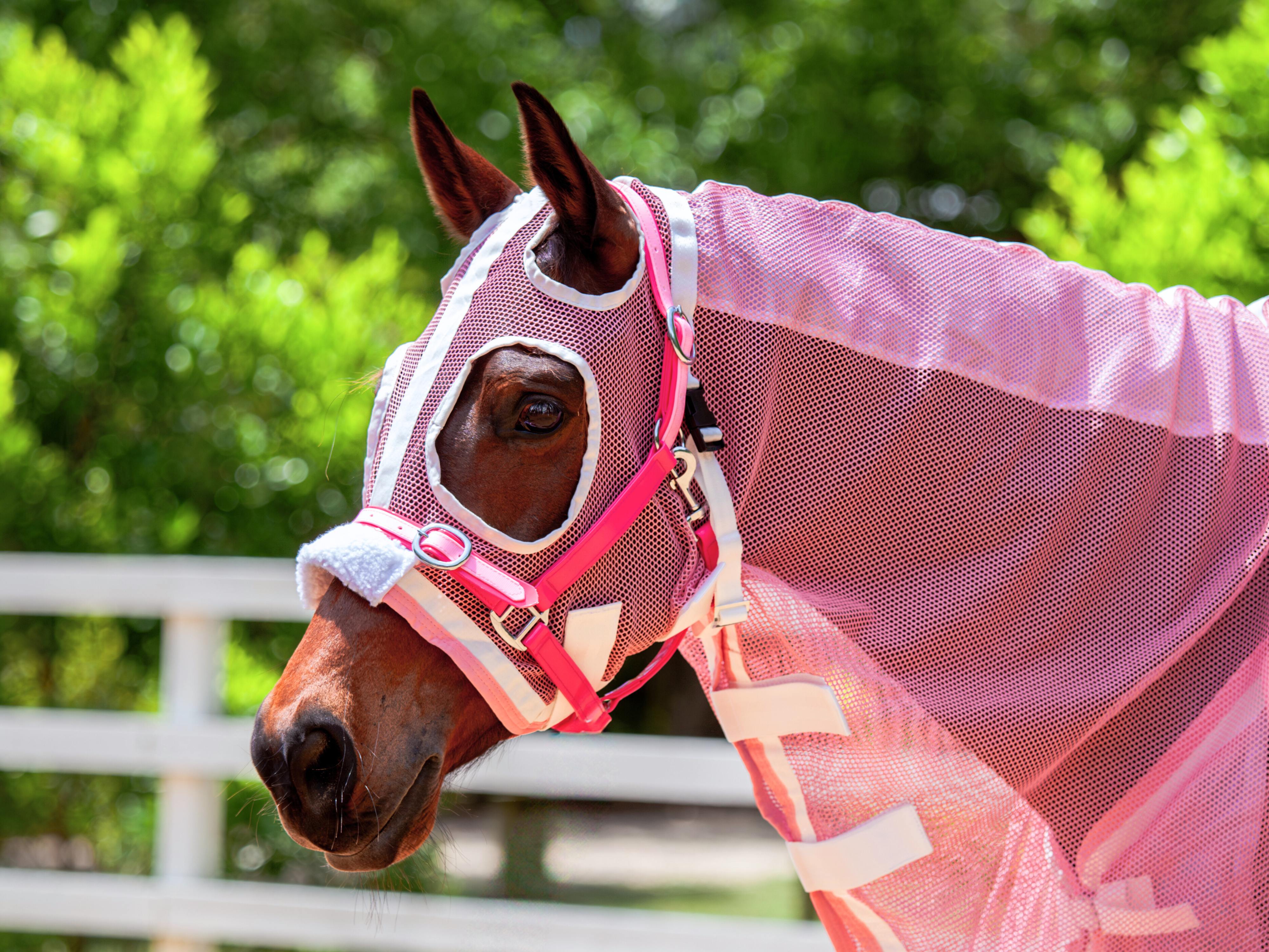 Summer Mesh Hood Combo - Blush Pink w White & Blush Pink Trims - New Summer Design