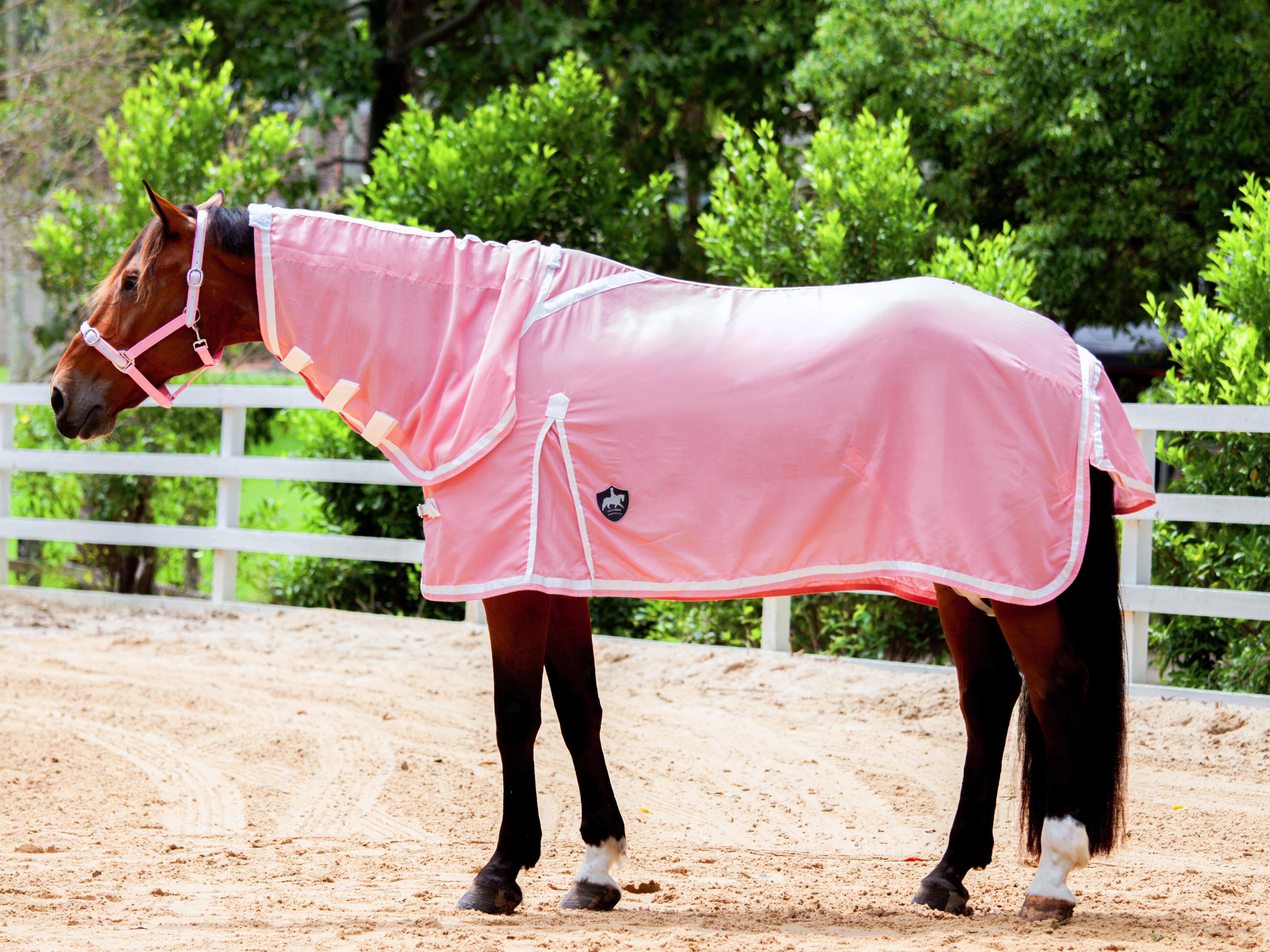 Flag Neck Combo - Blush Pink w White & Blush Pink Trim - New Summer Design