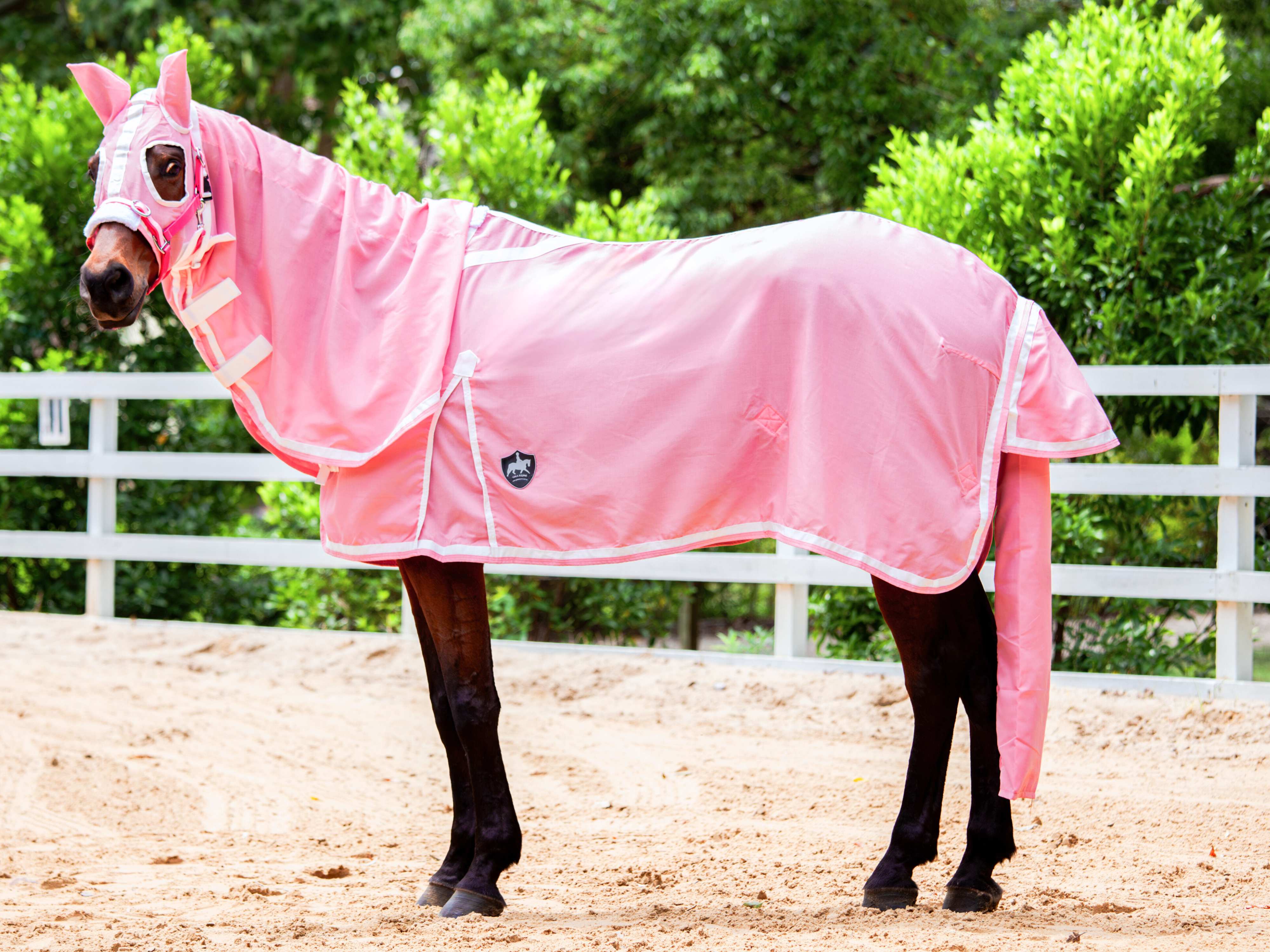 Flag Hood Combo - Blush Pink w White & Blush Pink Trim - New Summer Design