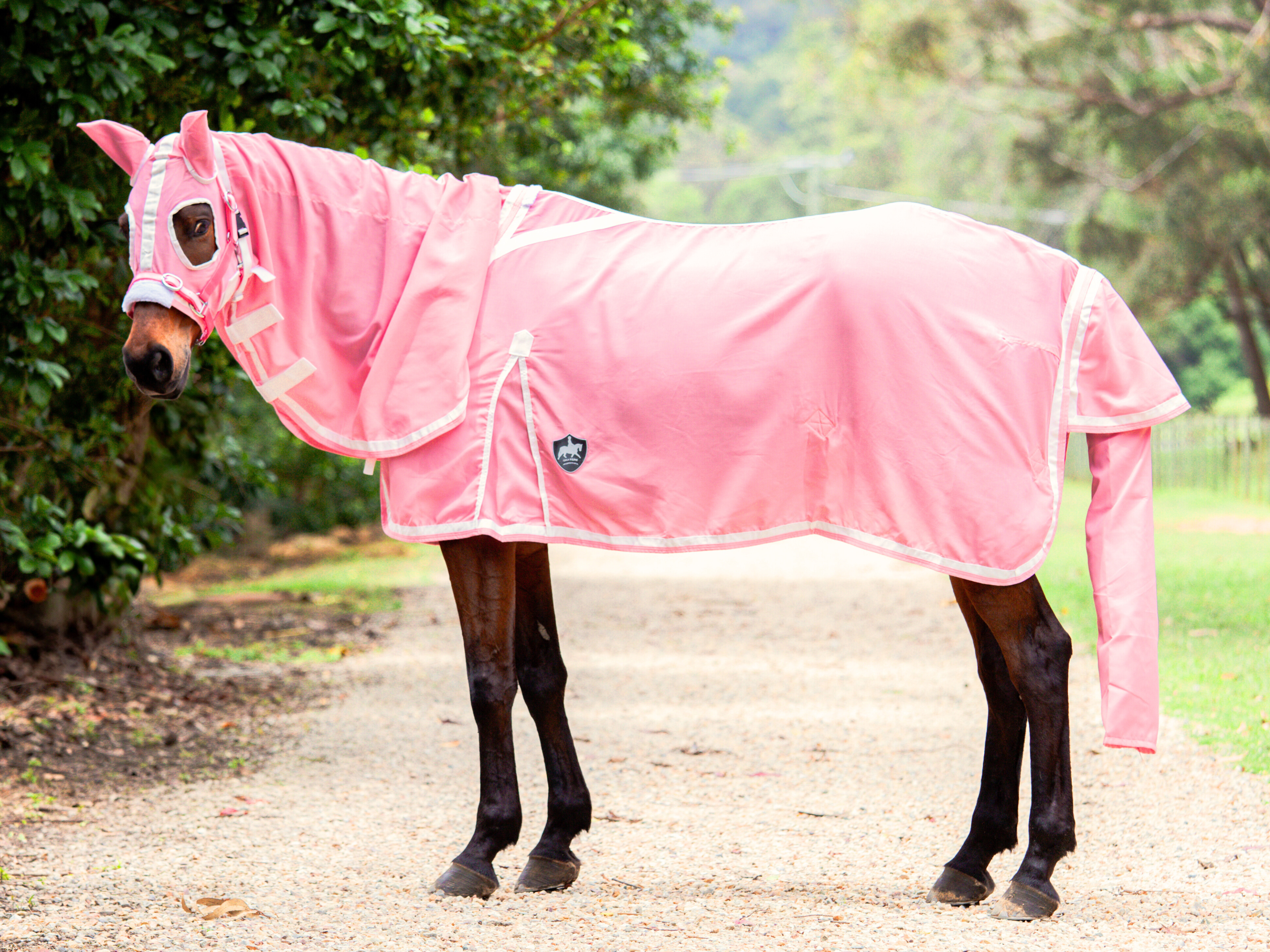 Flag Hood Combo - Blush Pink w White & Blush Pink Trim - New Summer Design