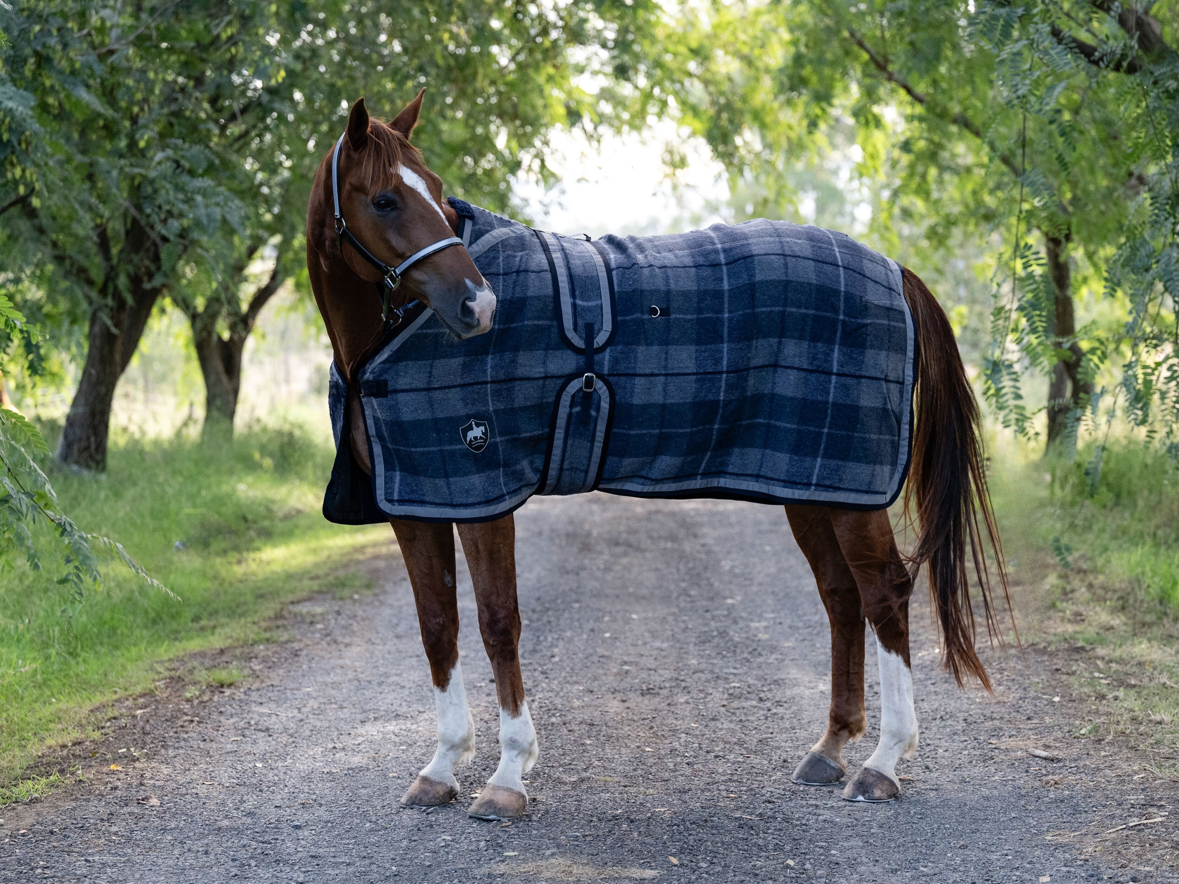 Navy and Grey Check Kersey Wool Rug NEW SEASON COLOUR