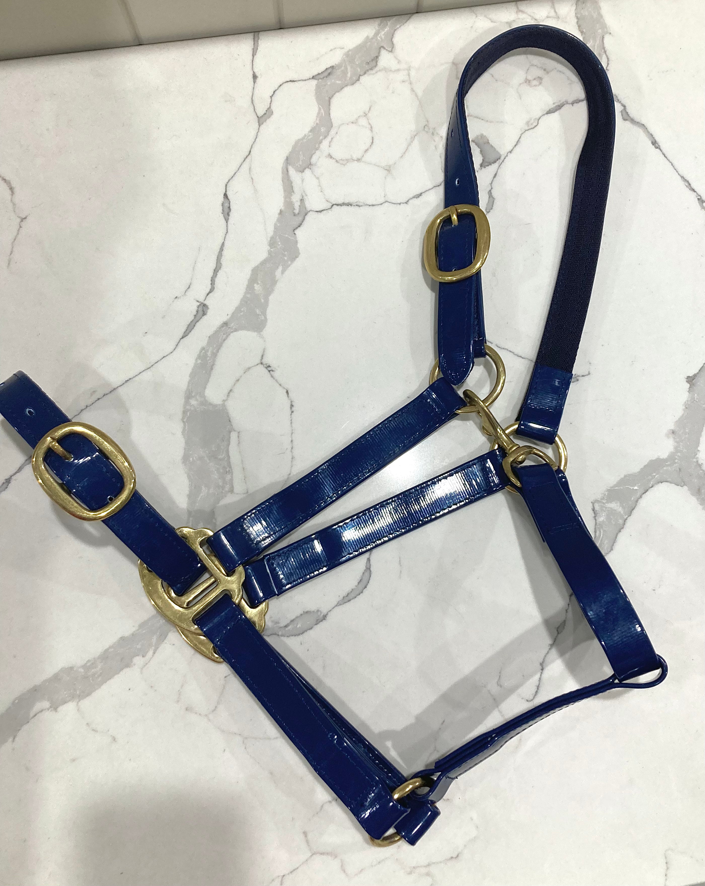 Pvc Halters PVC Halter - Navy with Brass Buckles