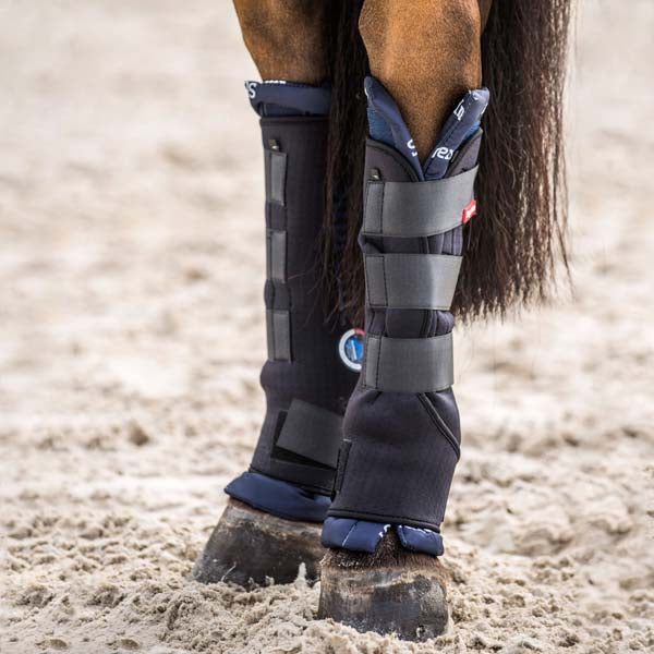 HZ Stable Boots - Back