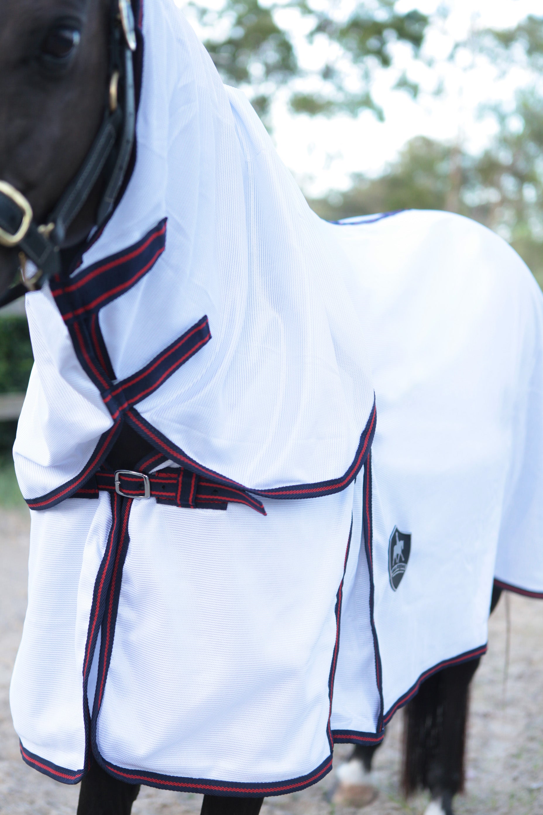 Mesh Horse Rugs