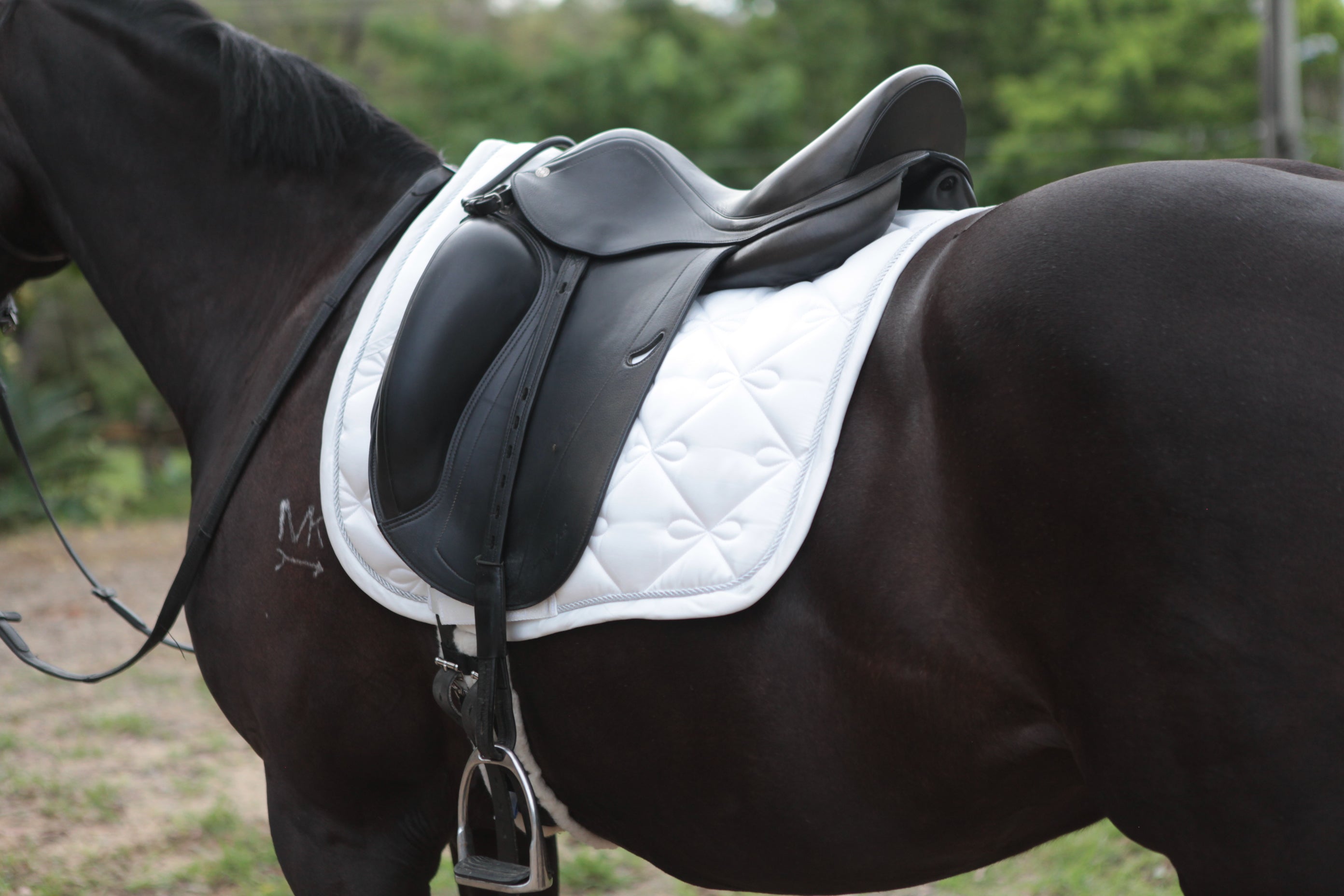Elegant Satin Dressage Saddle Pad - White - Buy one get one Free!