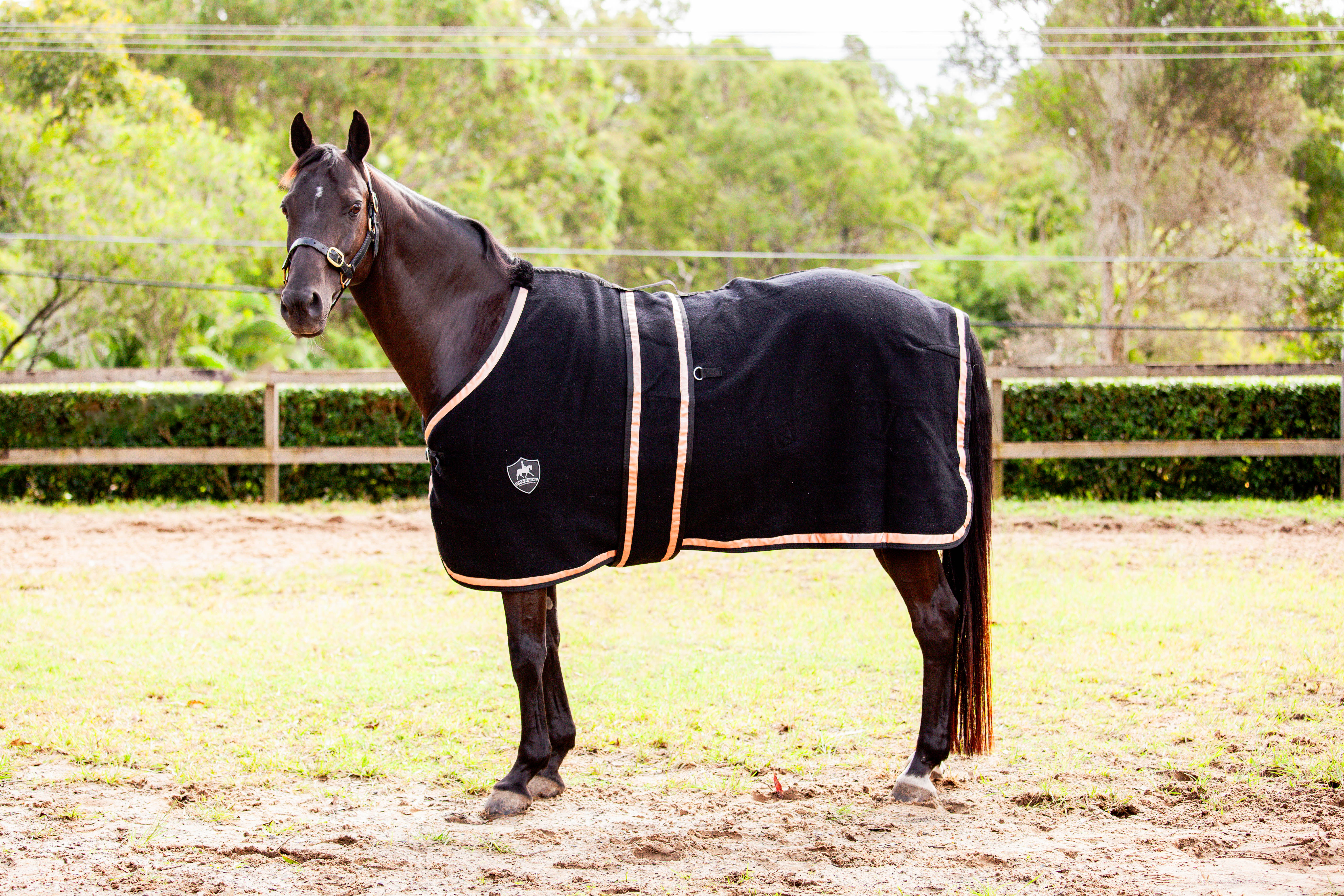 Kersey Wool Rug Black with Metallic Rose Gold Trims