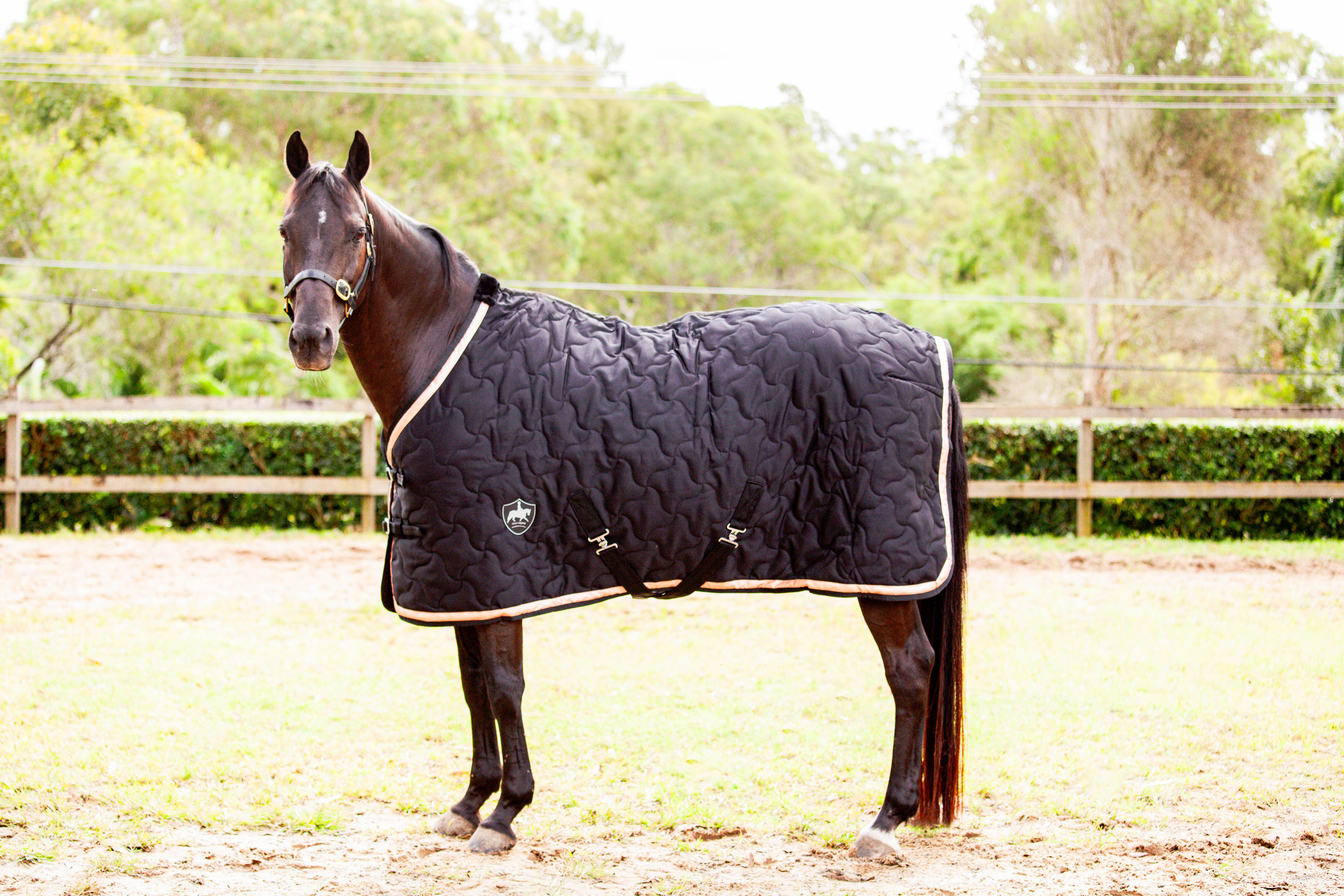 Luxury Stable Doona - Black with Rose Gold Trim