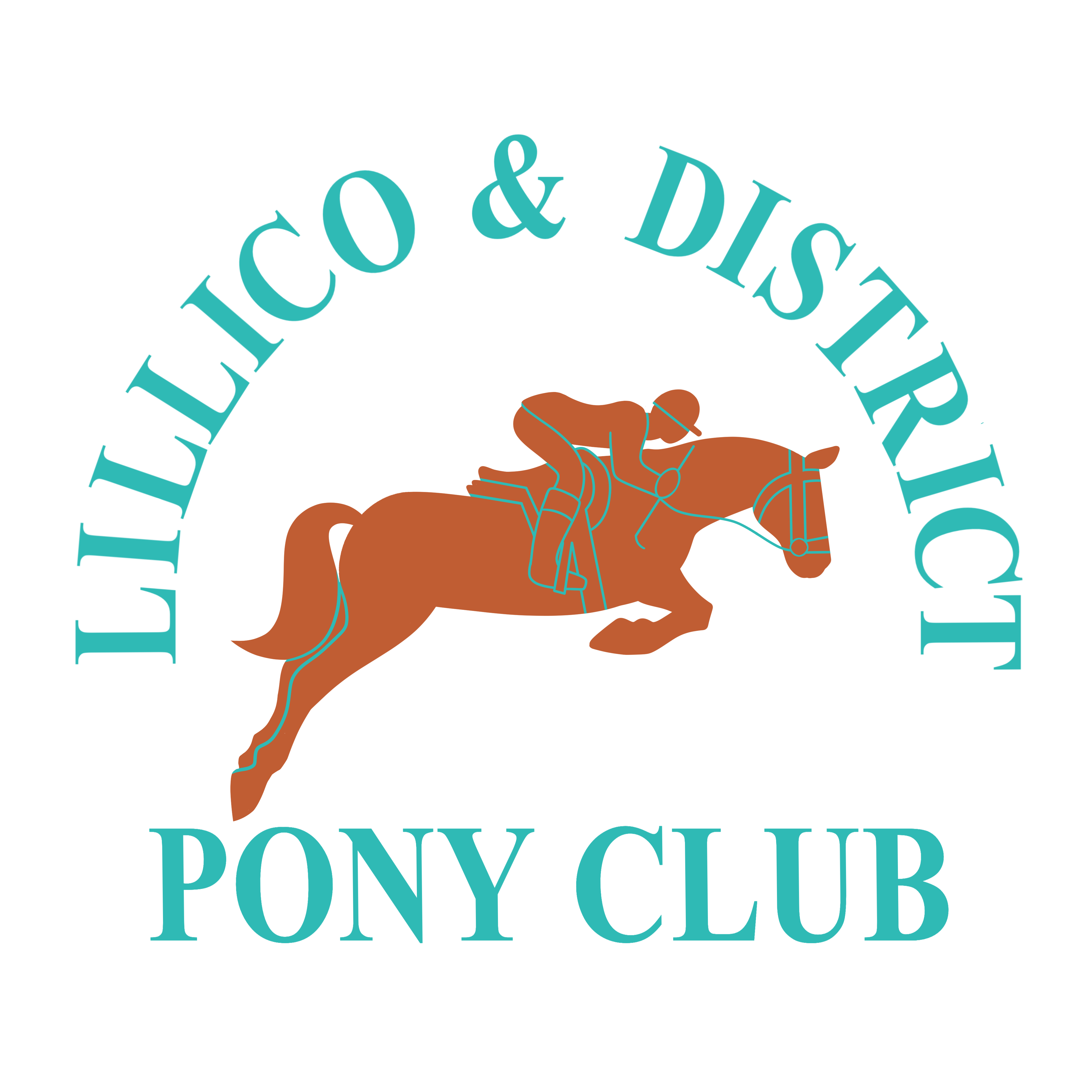 Lillico Pony Club Saddle Pad