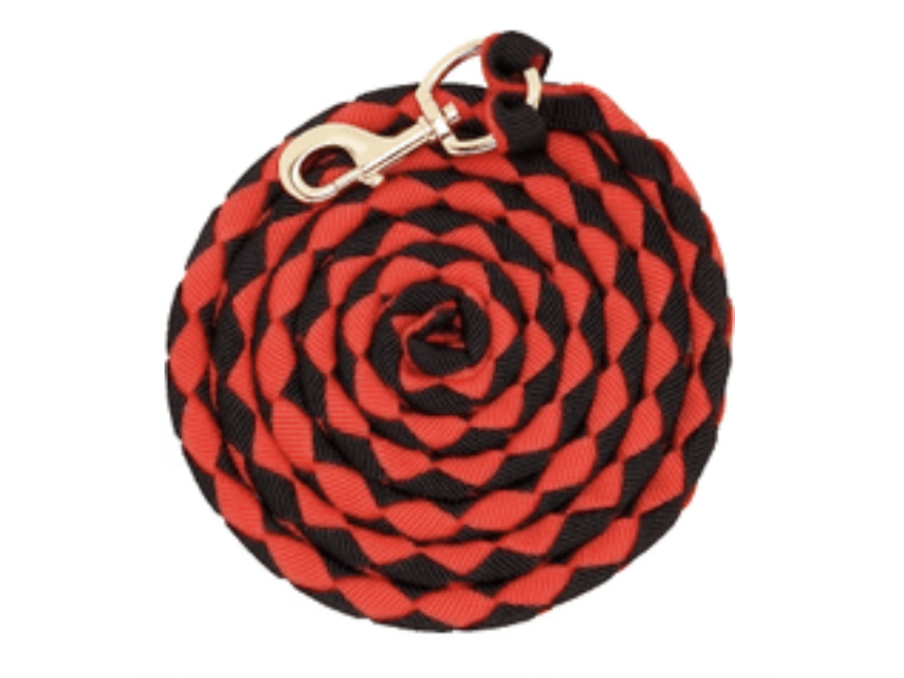 HZ Nylon Braided Lead Rope Black with Red and Brass Clip